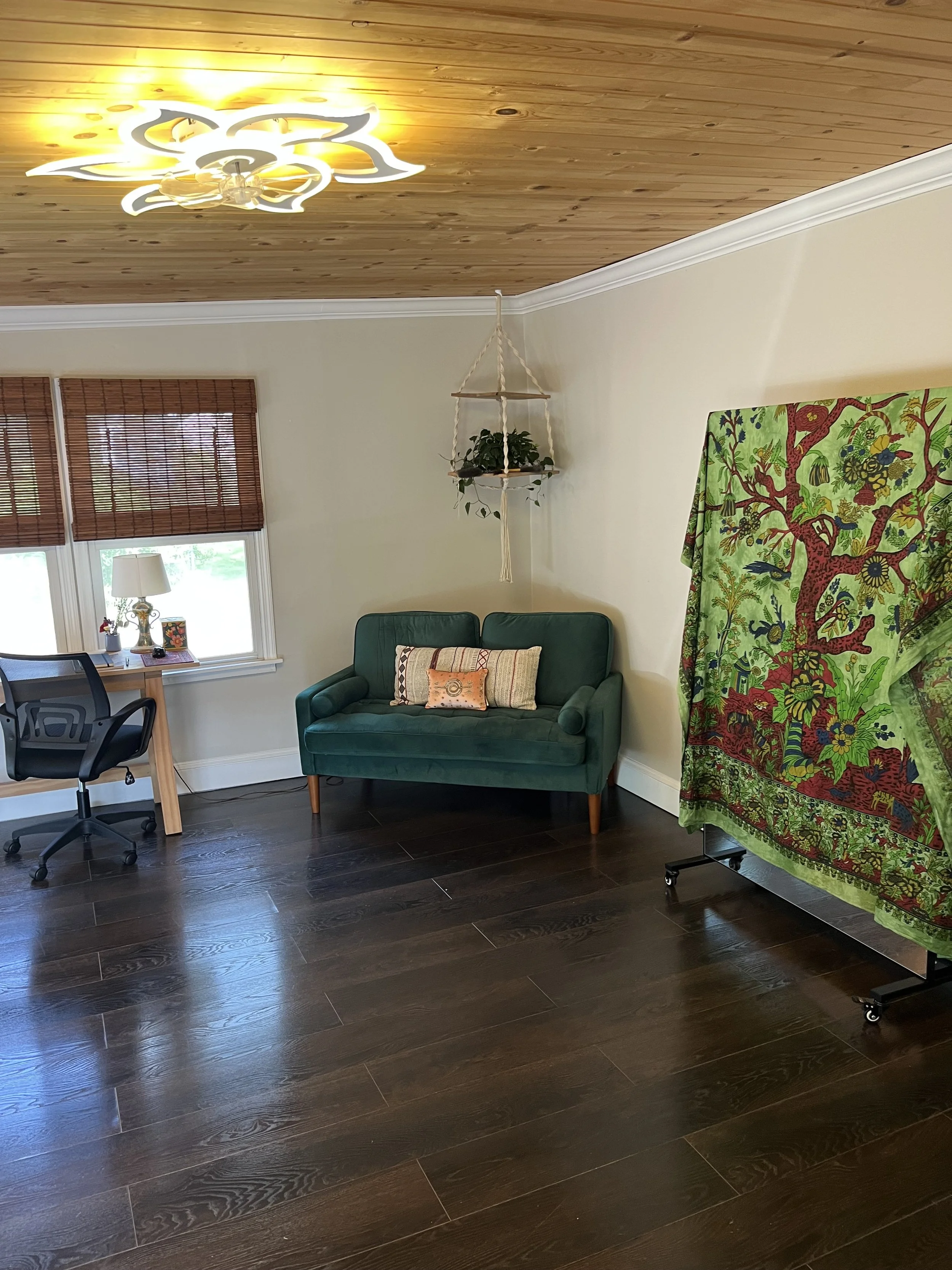 Living room with a green sofa, decorative pillows, a wooden floor, large windows with brown blinds, a side table with a lamp, a colorful tapestry, and a hanging plant on the wall.