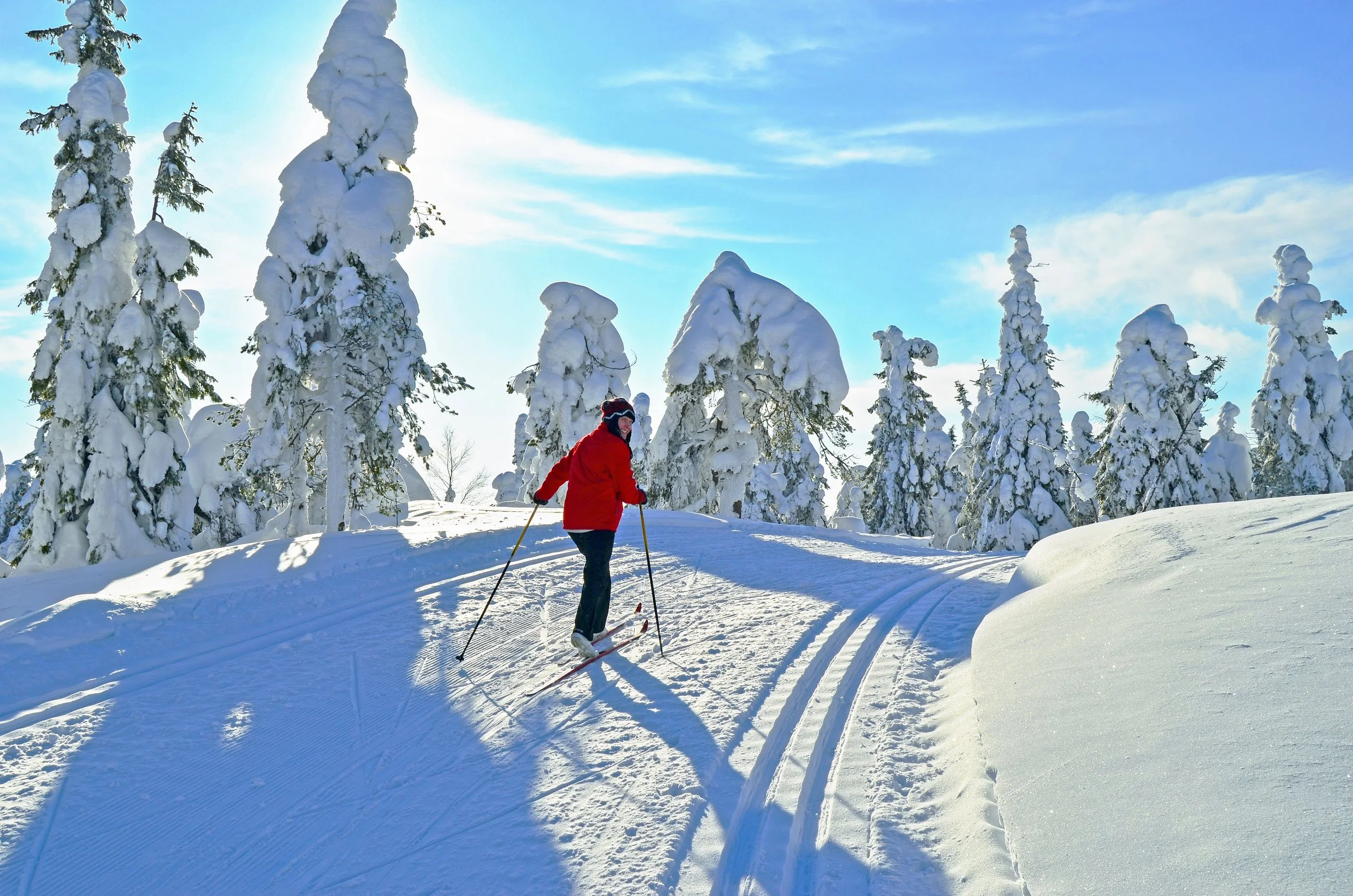 Crosscountry-skiing01.jpg