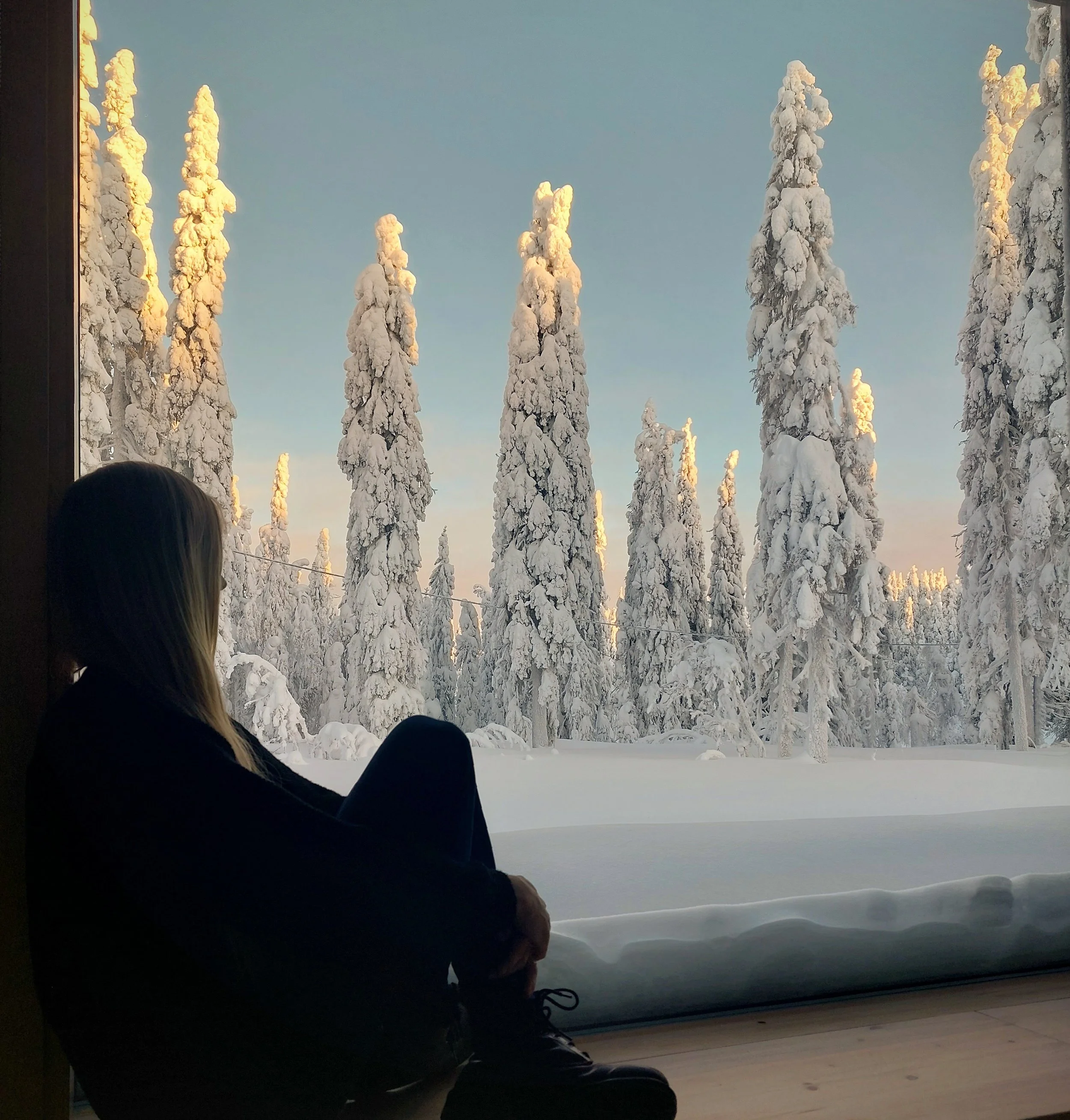 Copy of ArcticNestInside1.jpg