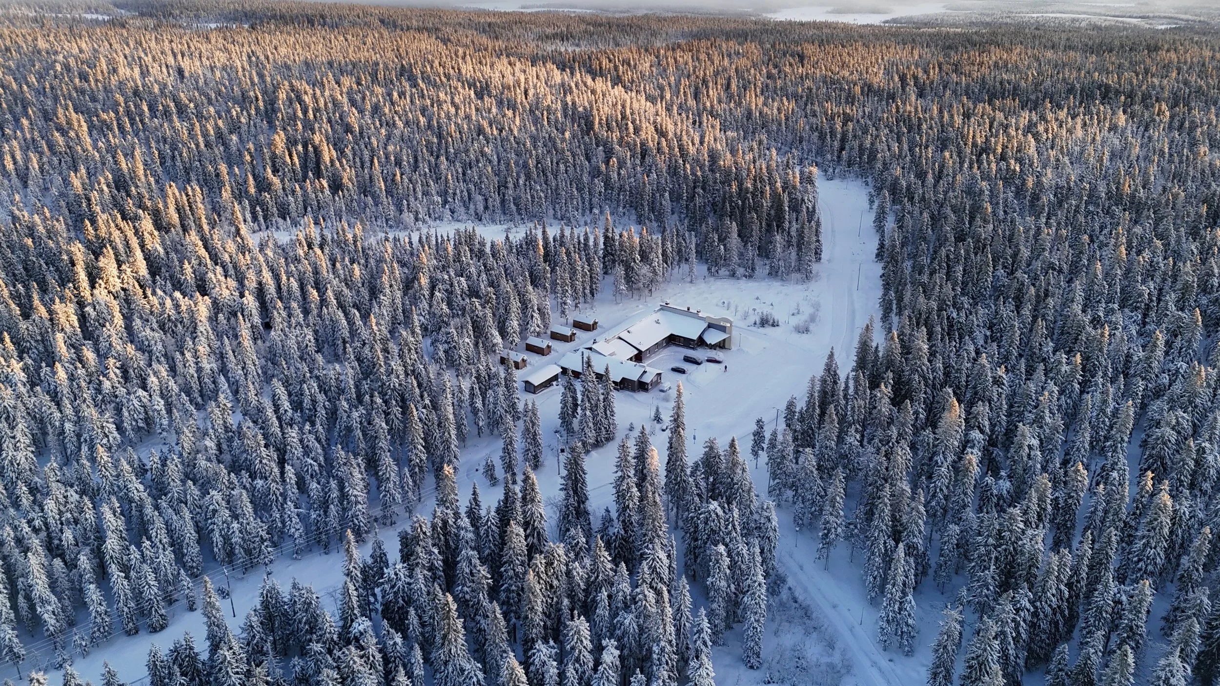 Copy of ArcticNest2.jpg