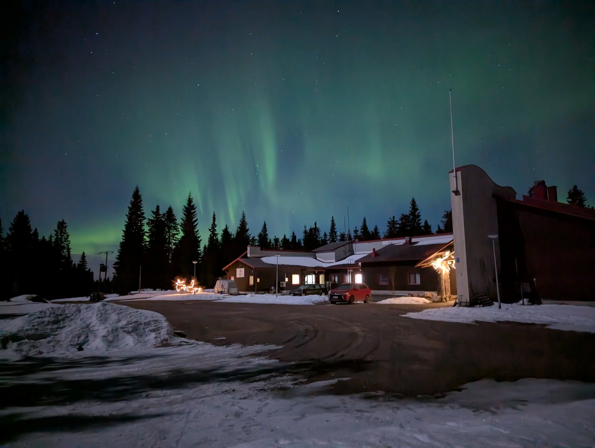 Artic nest beneath northern lights