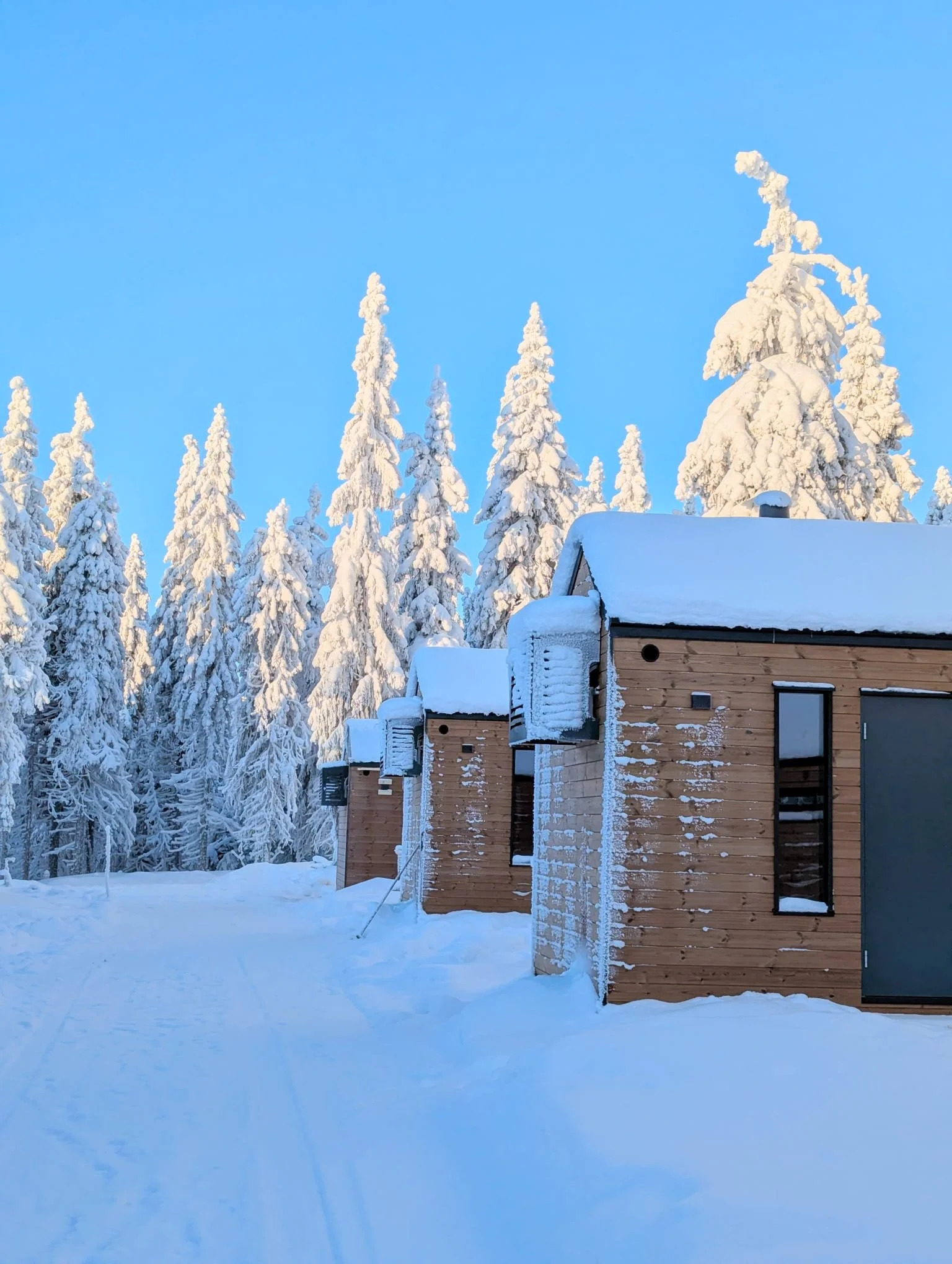 Copy of Arctic Forest Cabin30.jpeg