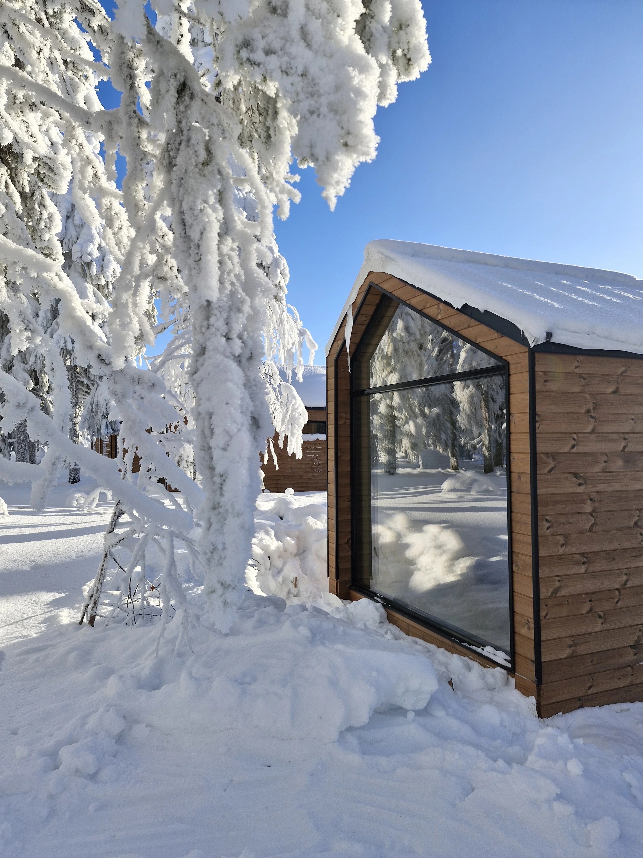 Copy of Arctic Forest Cabin2.jpg