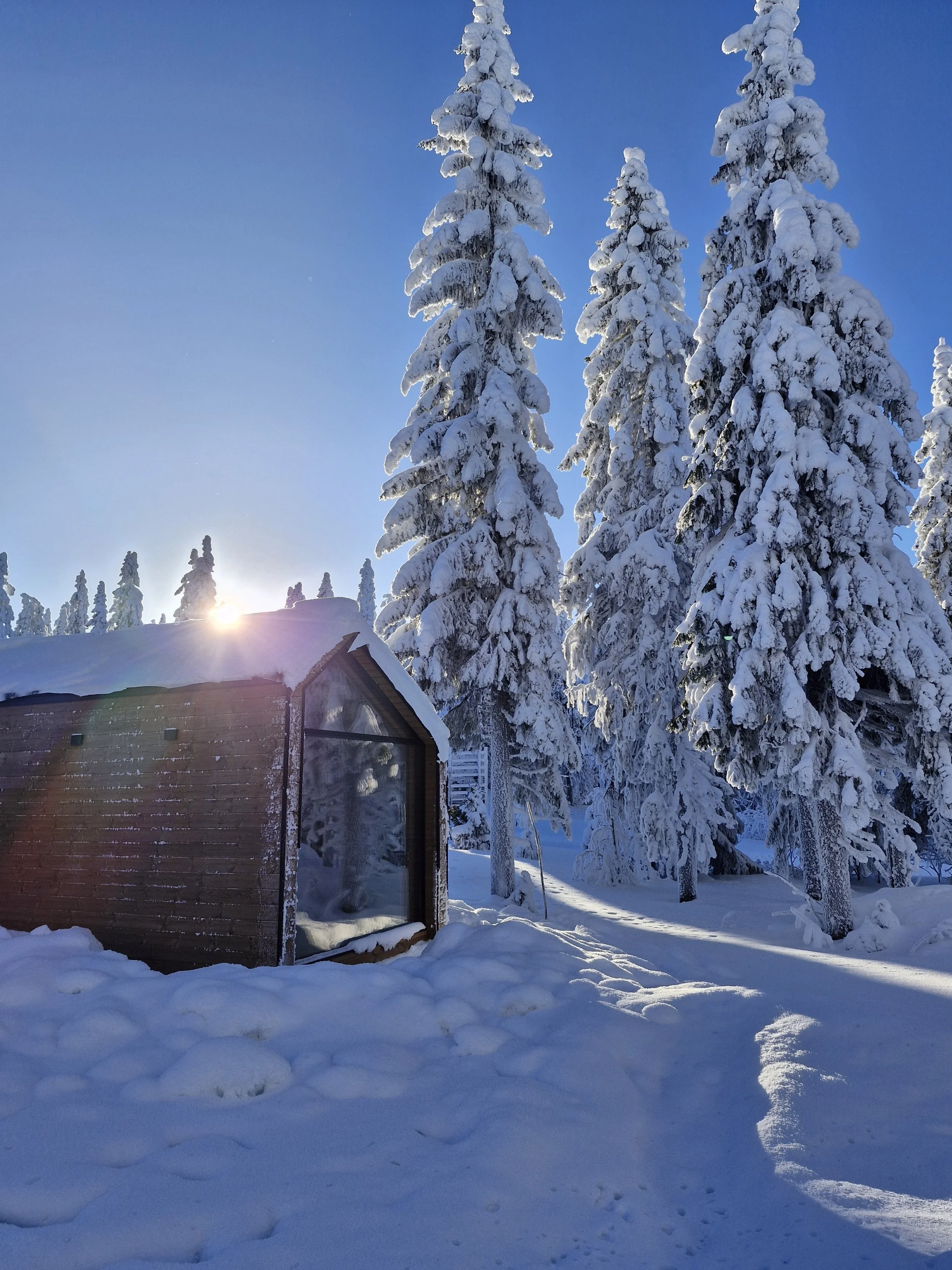 wodden hut in winter in finland, snow