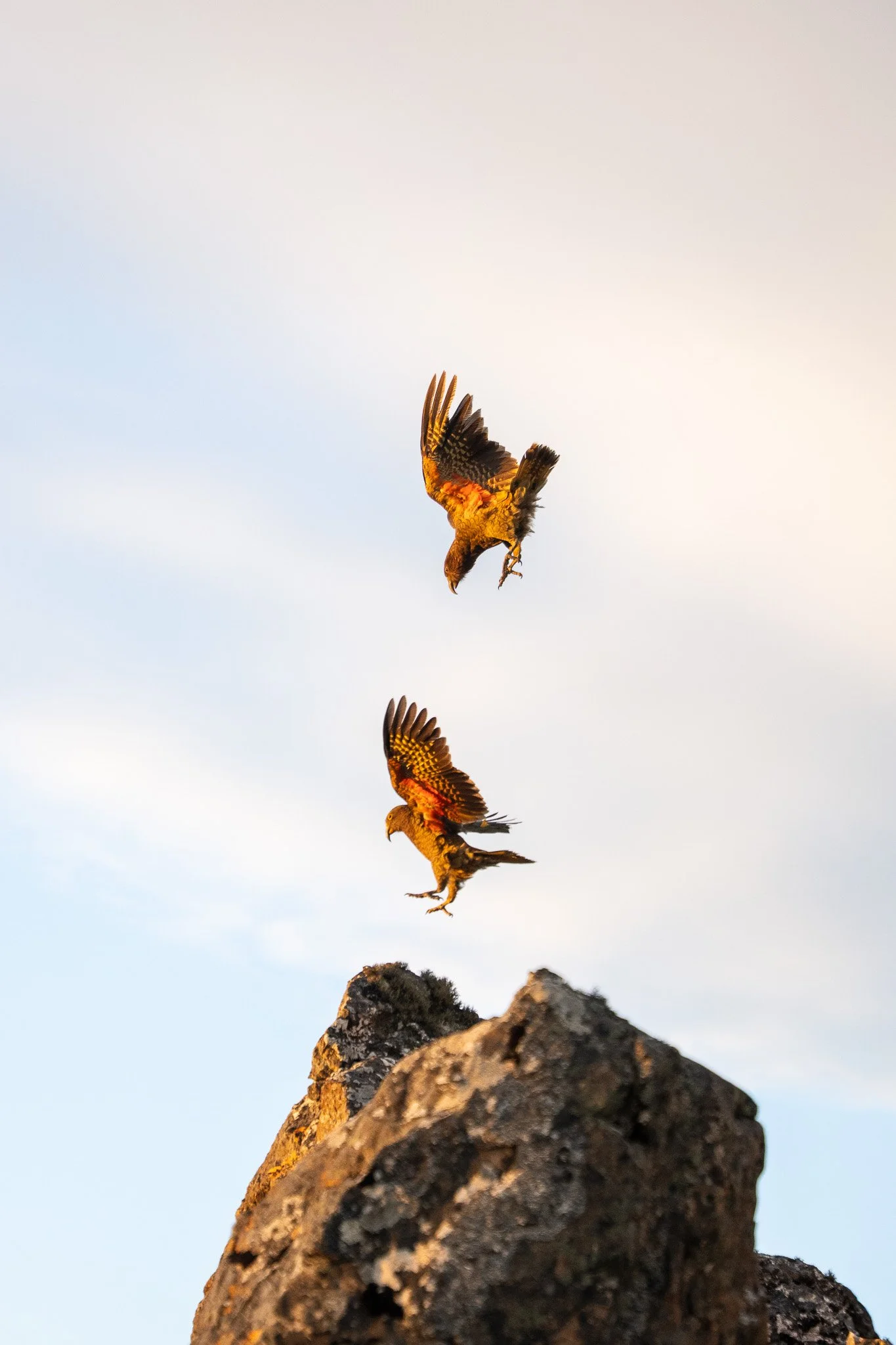 THE LANDING