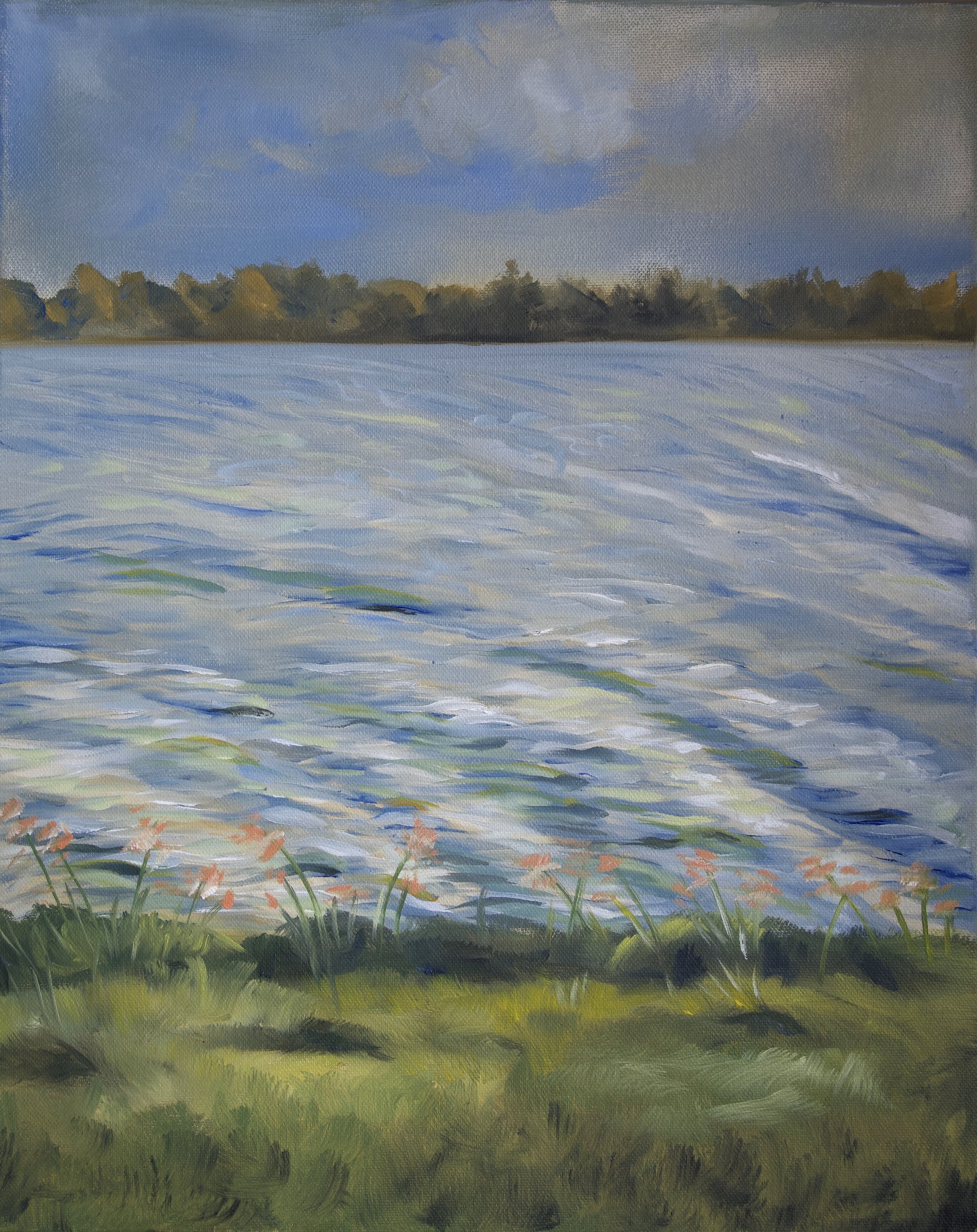 Lake Monger Print