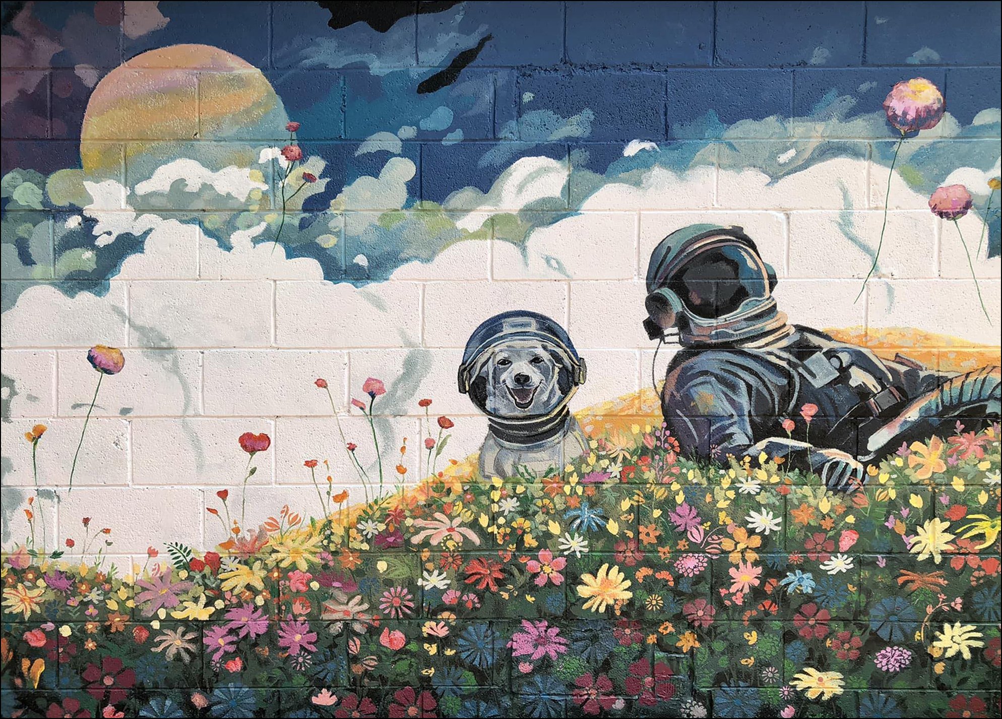 lic_spaceDog_cropped.jpg