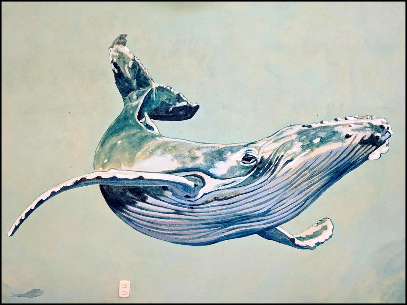 whale_003.jpg