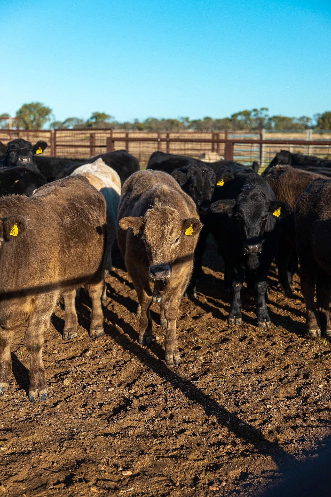 LumixSync_copy_2023-06-11 08_23_54 +0000RawFile.jpg