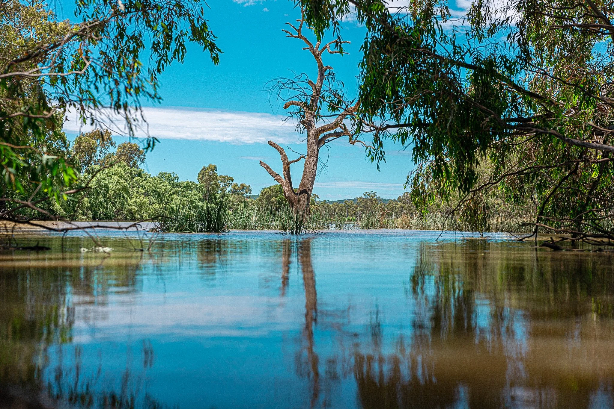 LumixSync_copy_2020-11-15 03_20_19 +0000RawFile.jpg