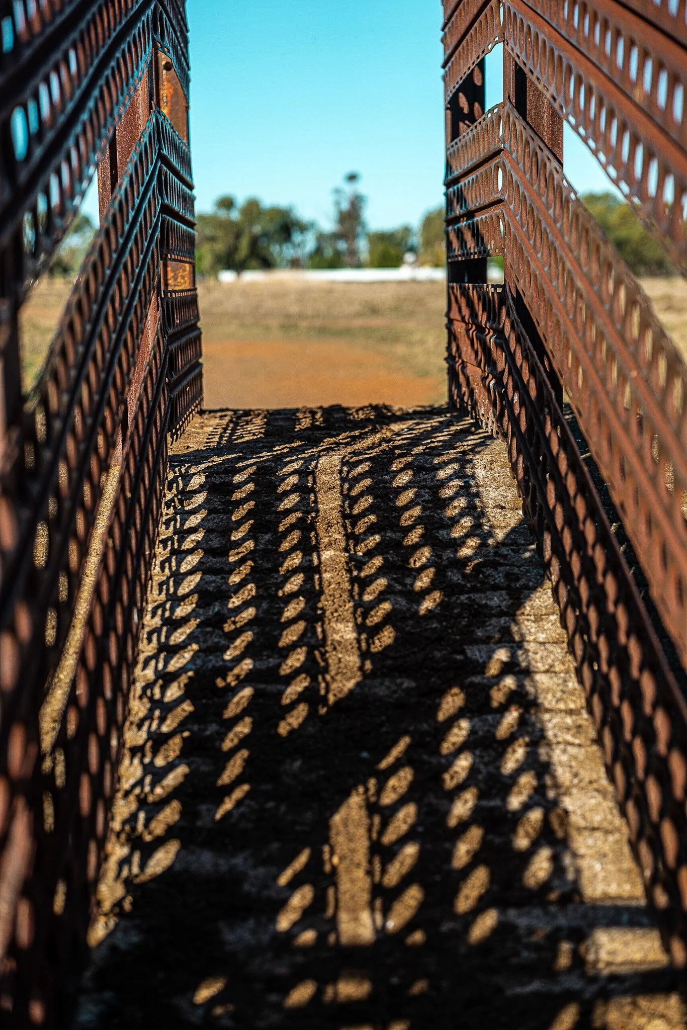 LumixSync_copy_2023-06-11 08_18_57 +0000RawFile.jpg