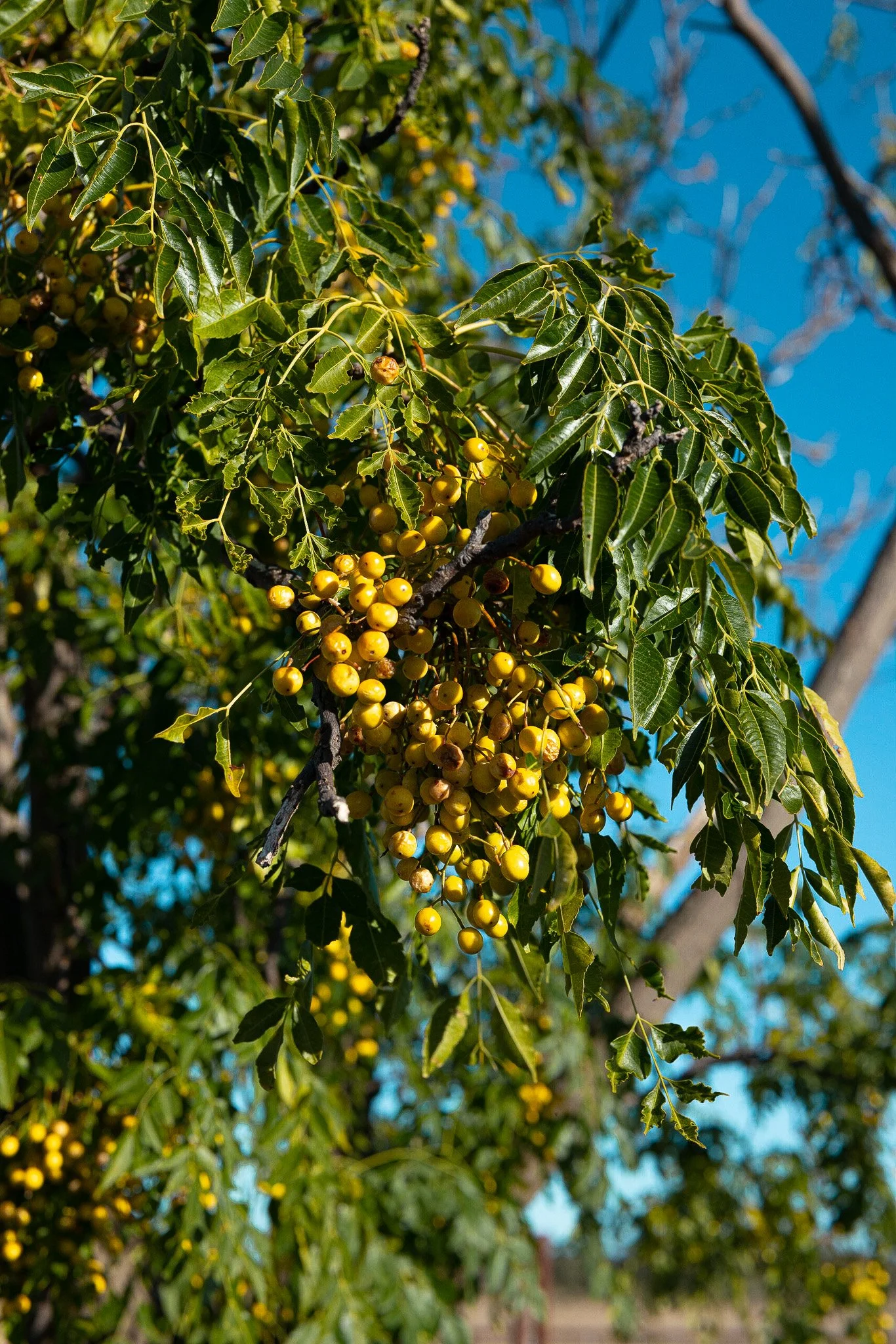 LumixSync_copy_2023-06-11 08_17_57 +0000RawFile.jpg