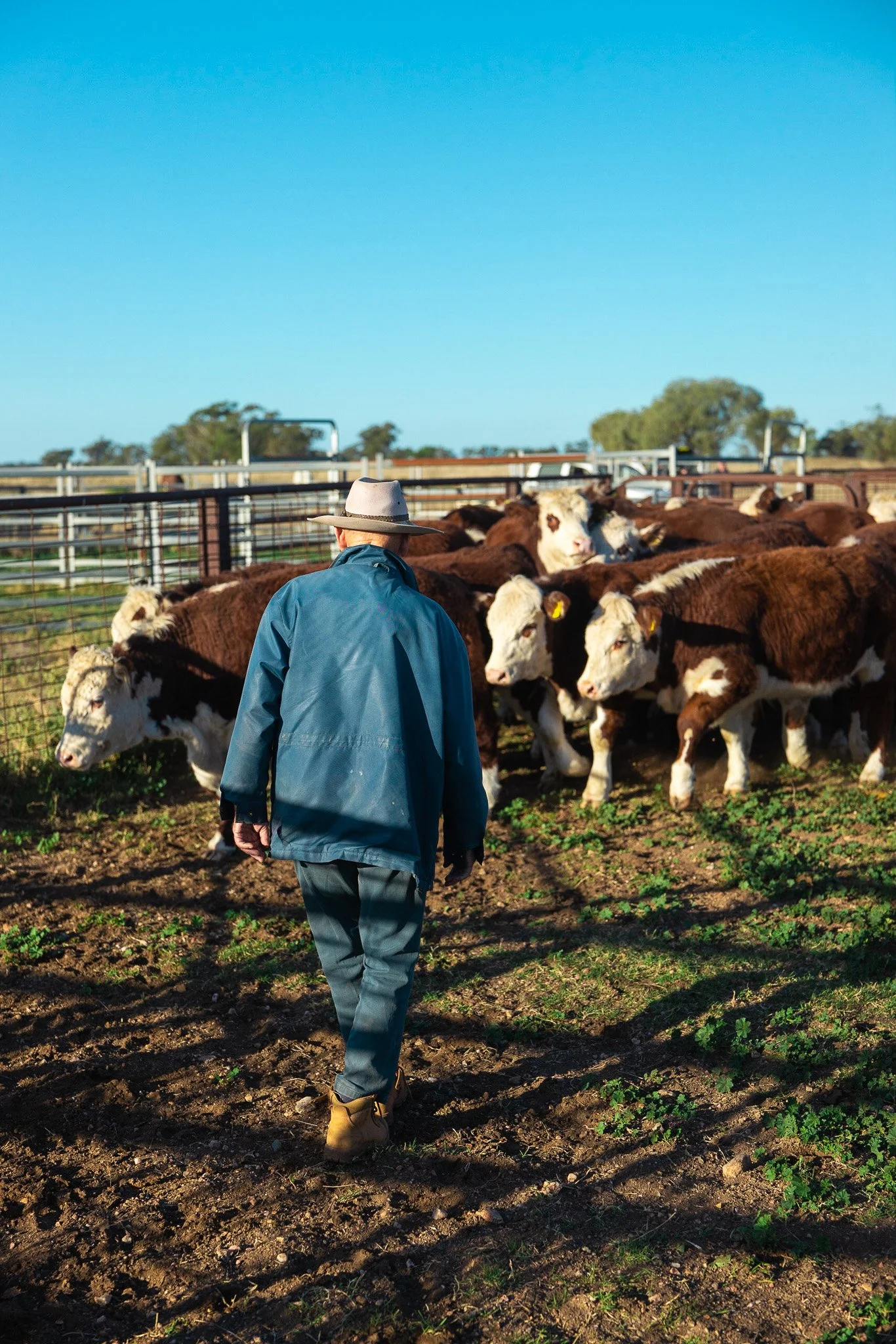 LumixSync_copy_2023-06-11 08_22_52 +0000RawFile.jpg