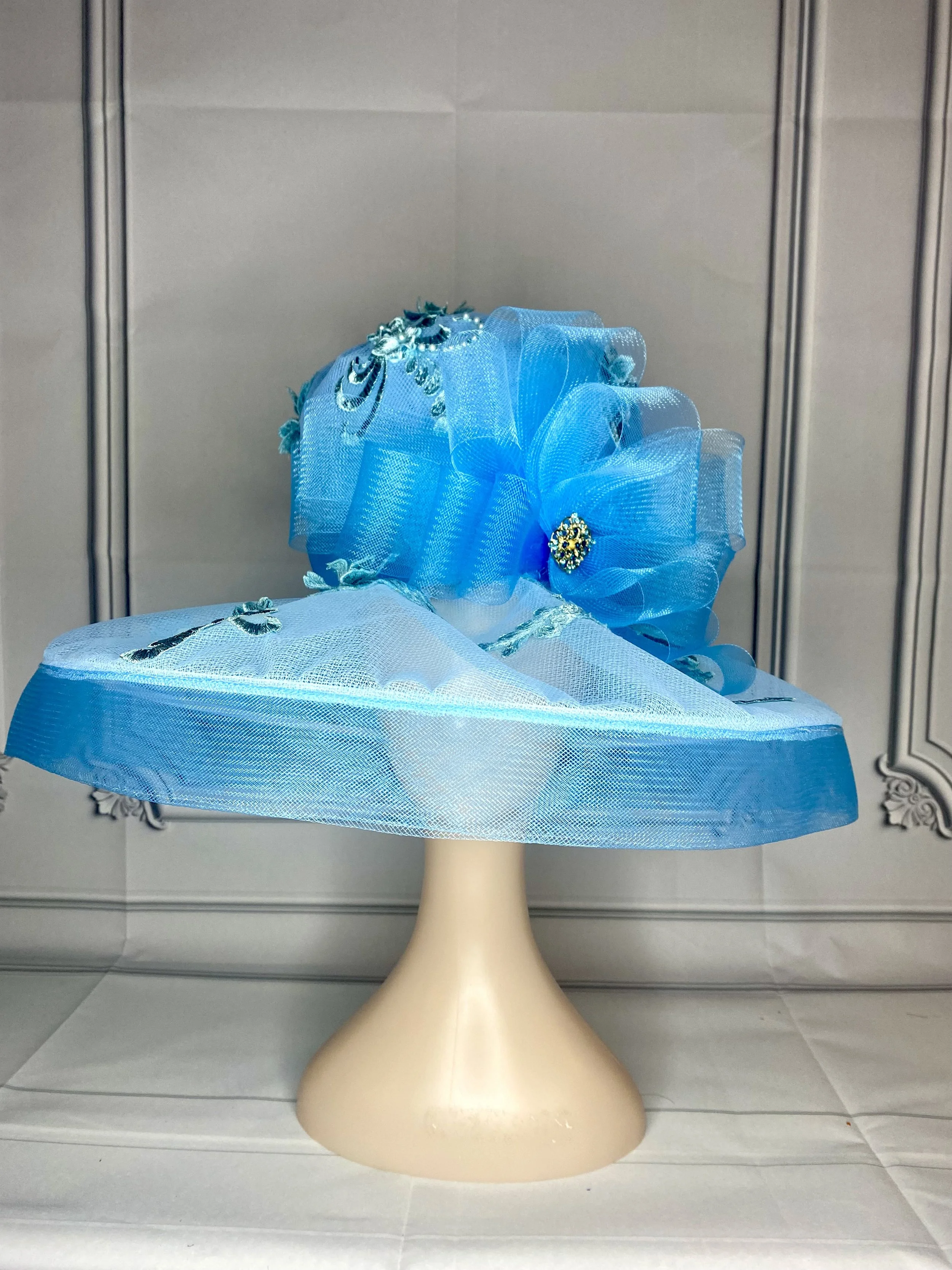 Blue Hat.jpg
