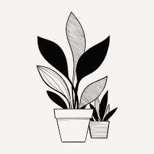 Deux pots de fleurs avec des plantes, un en grand et un en petit, sur fond blanc.