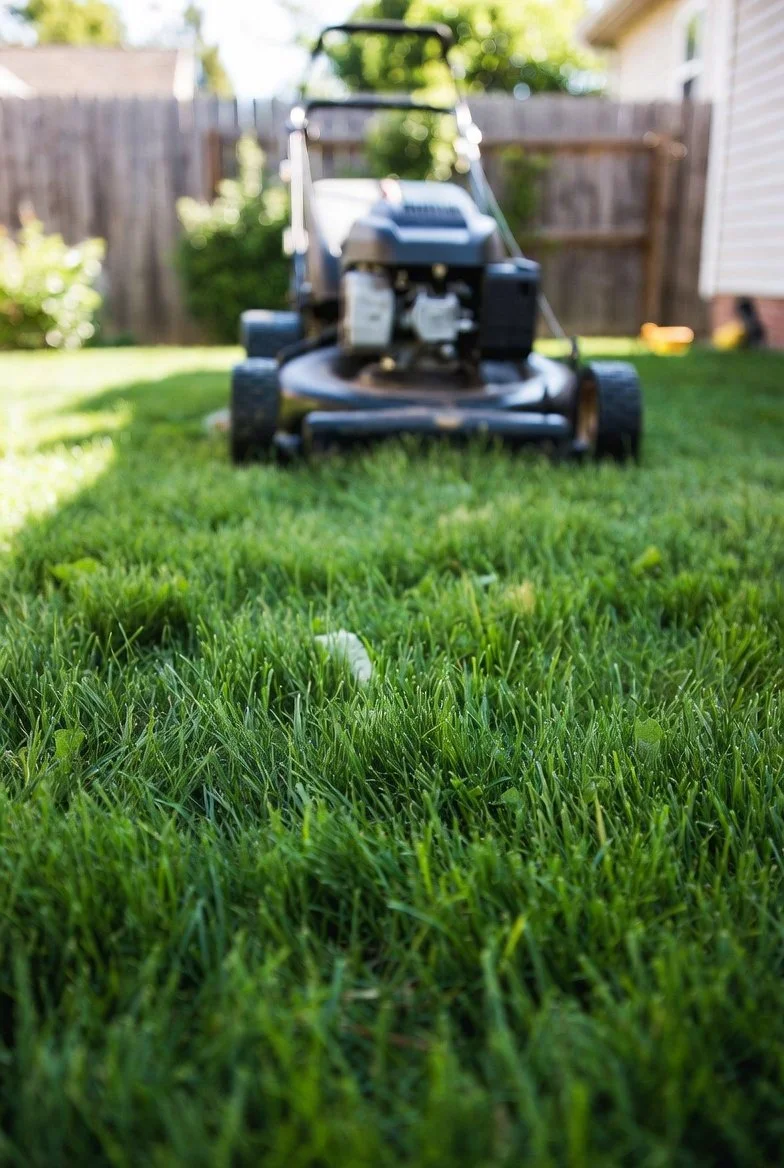 The 1/3 Rule: Why You Should Never Cut More Than a Third of the Grass Blade at Once