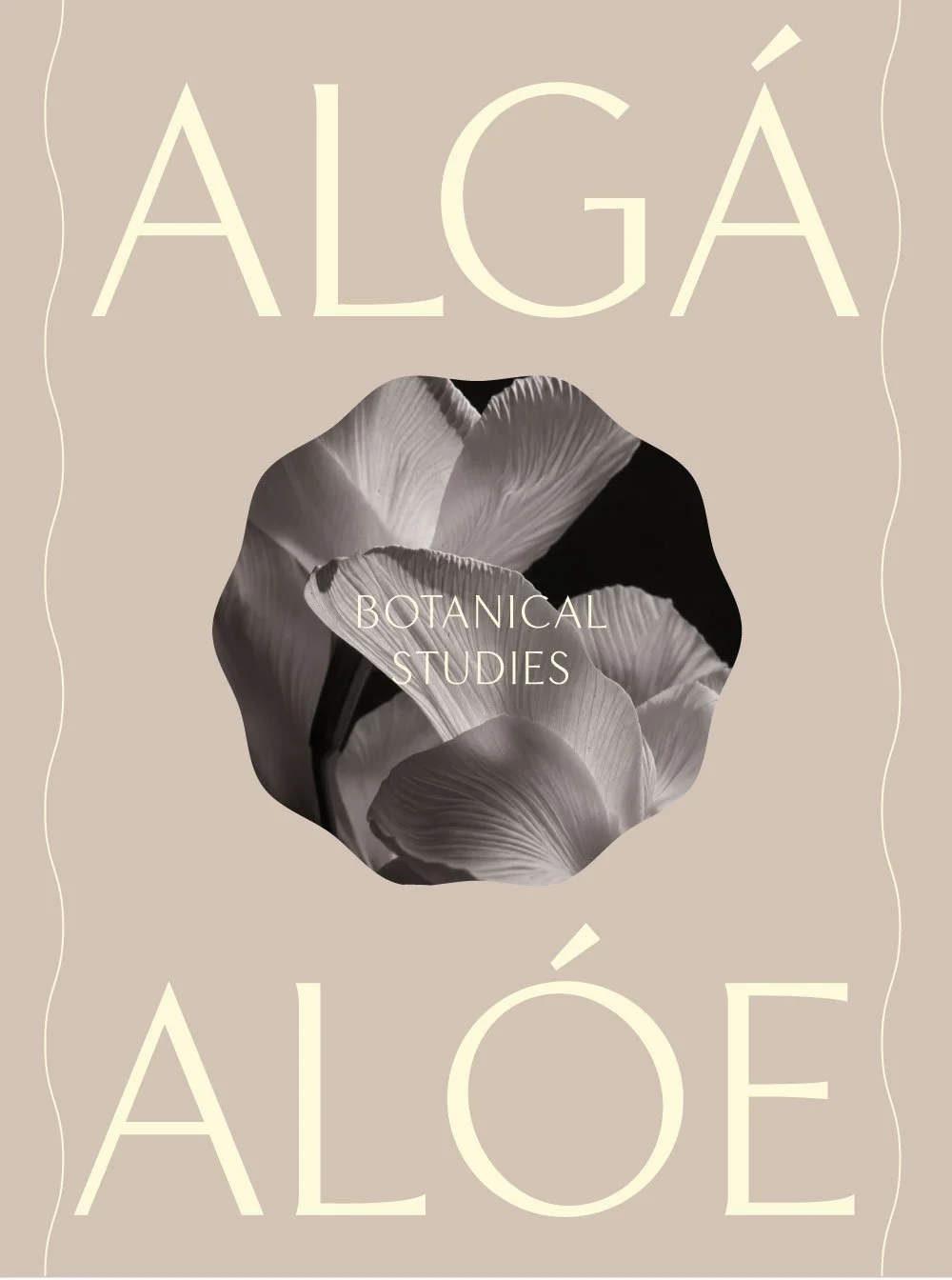 FONT-CAKE-alga.jpg