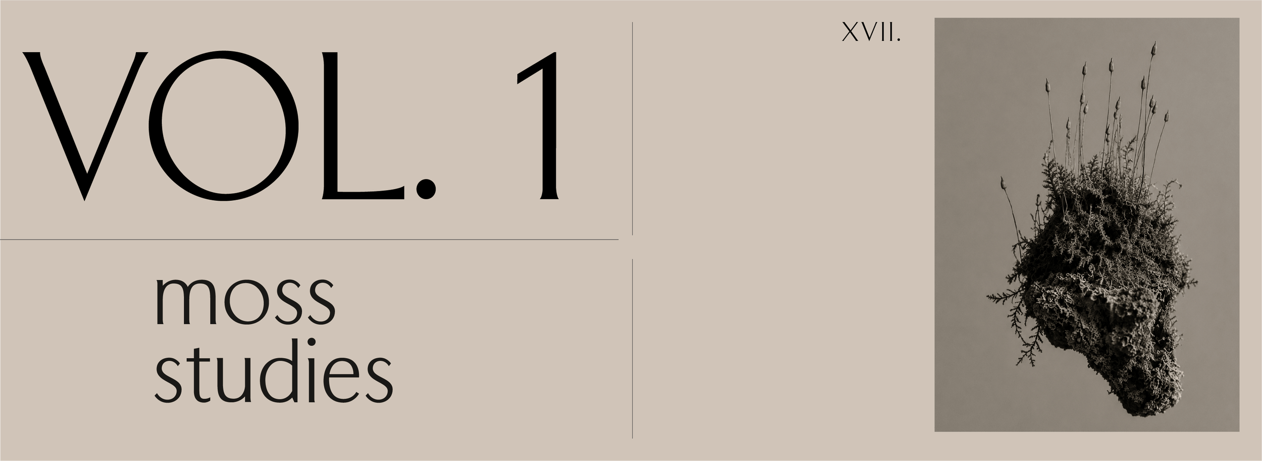 Artboard 24.png