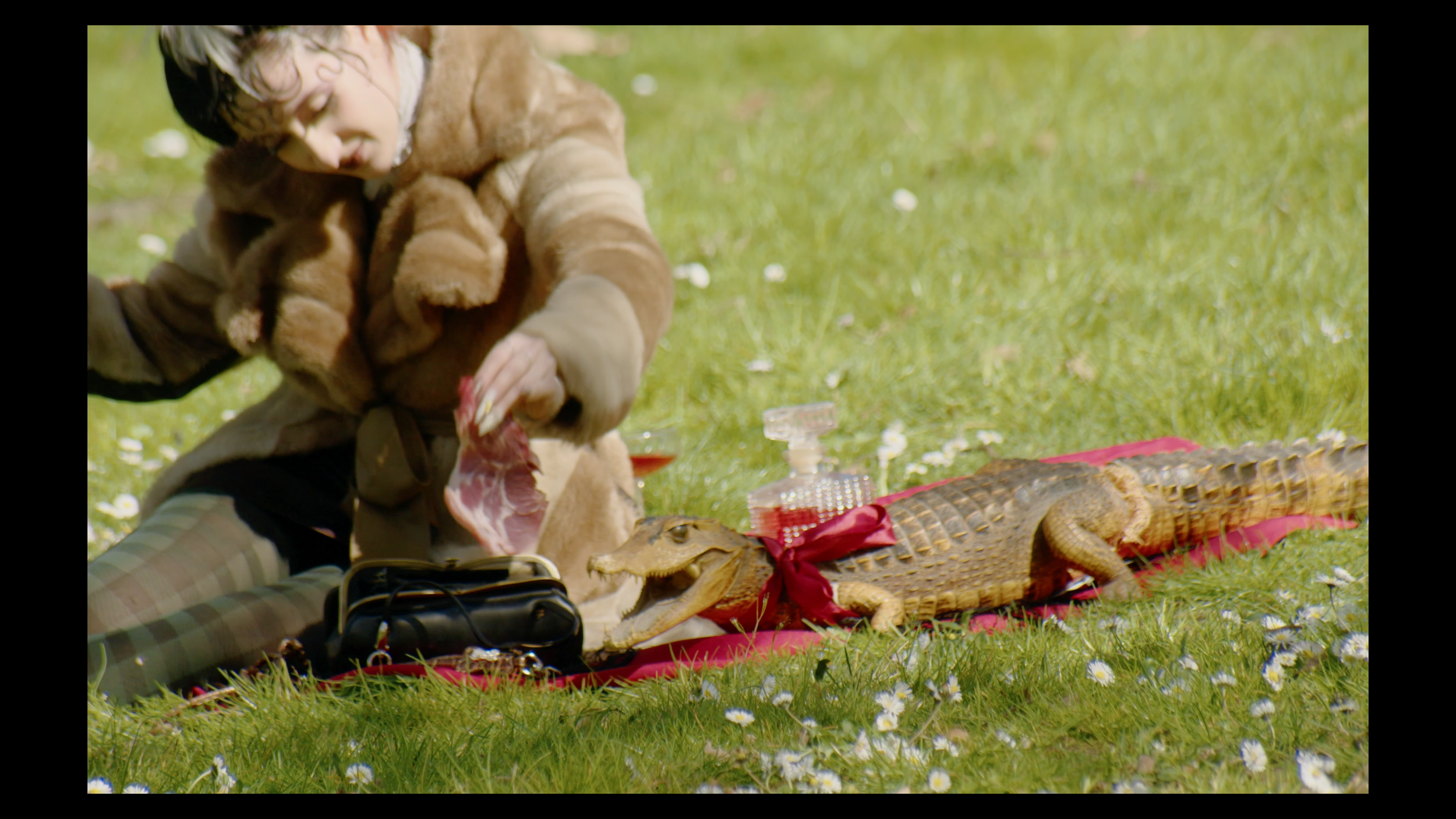 Capture d’écran 2026-03-17 à 17.41.22.png