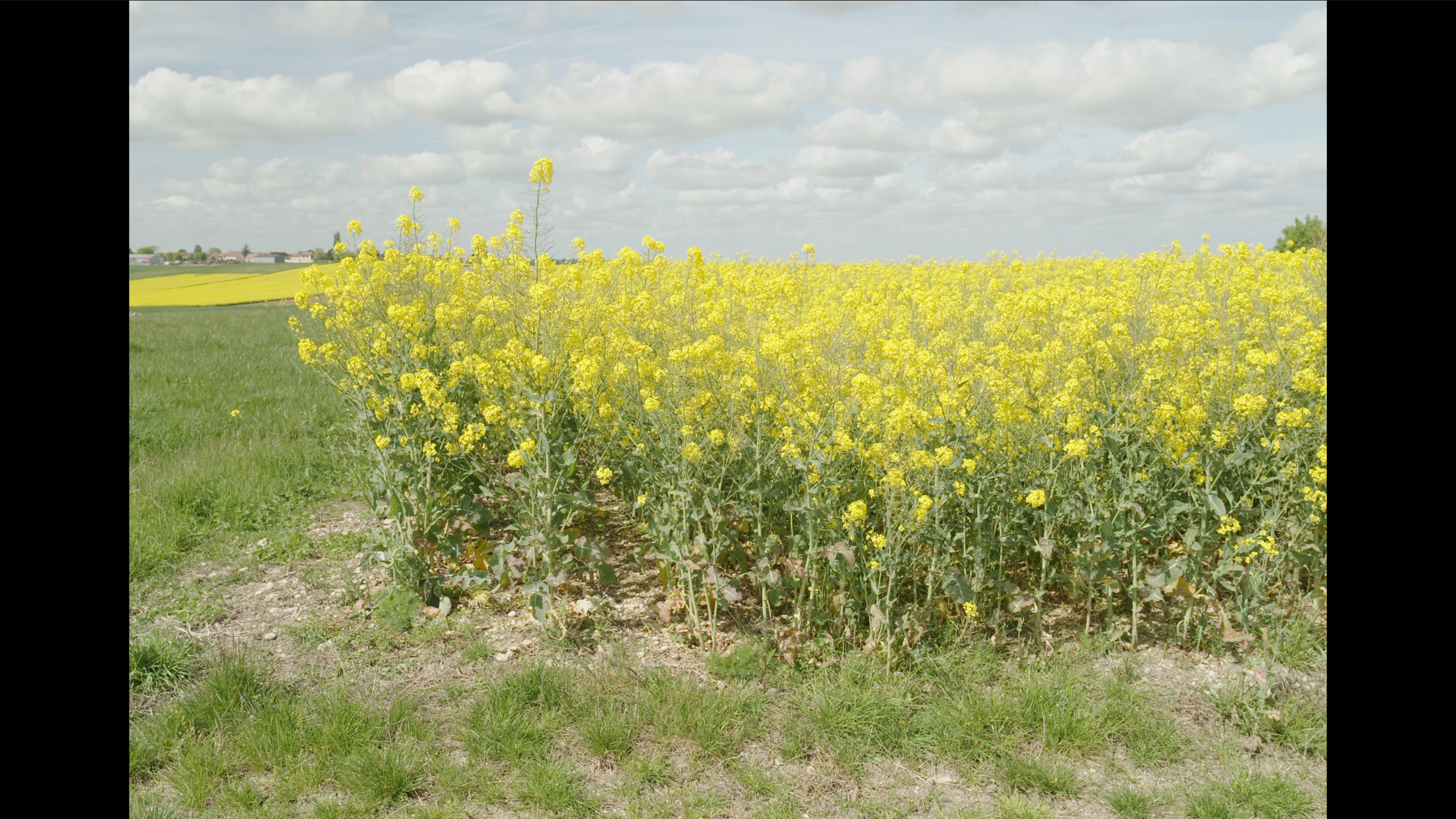 Capture d’écran 2026-04-17 à 17.04.59.png
