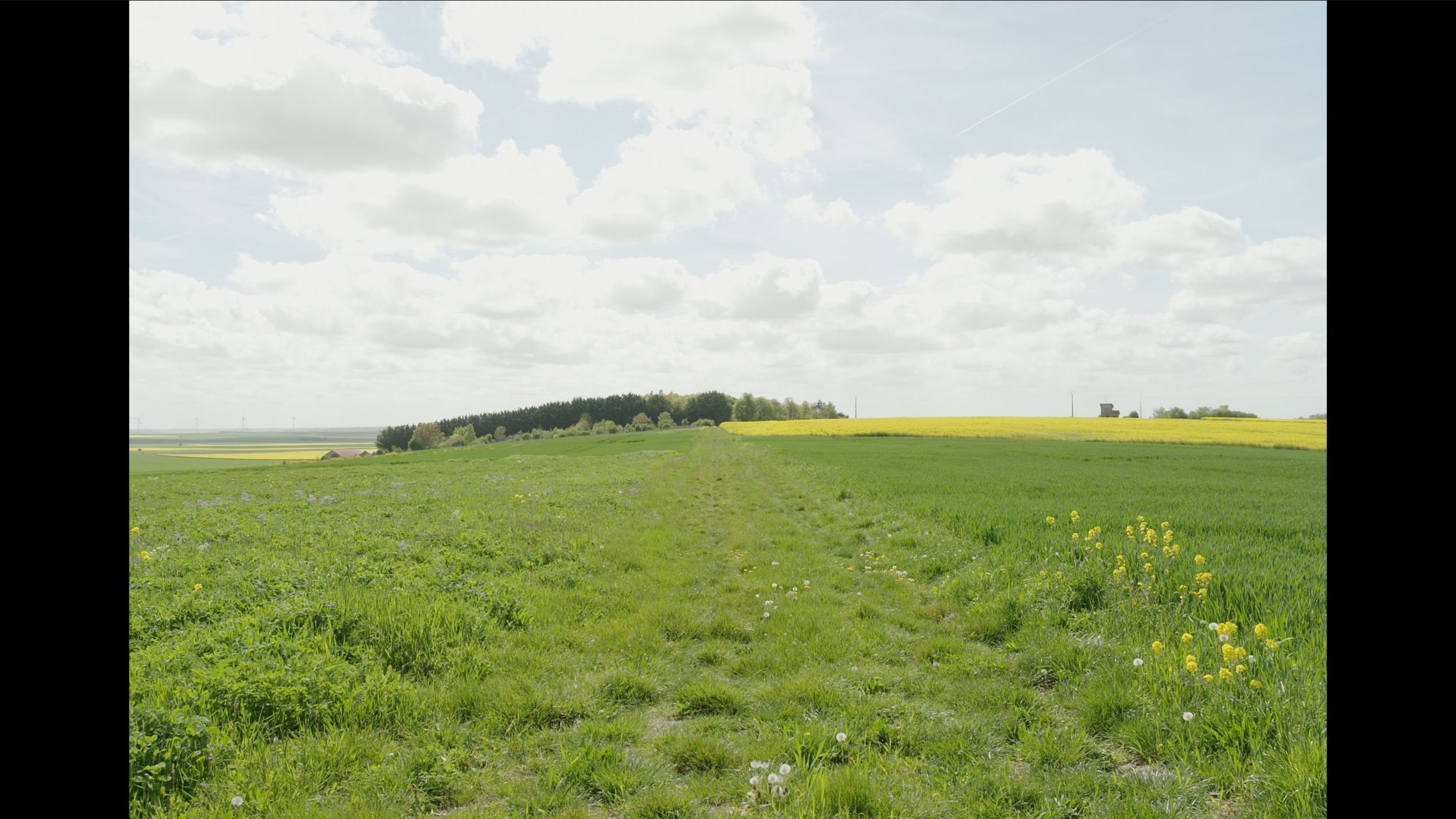 Capture d’écran 2026-04-17 à 17.05.15.png