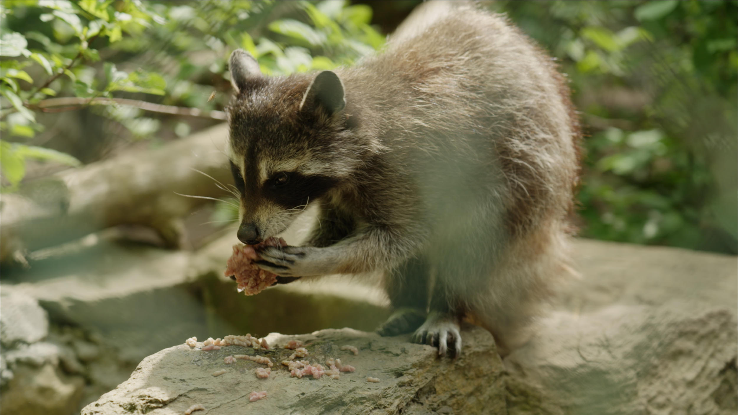 Capture d’écran 2025-01-24 à 19.14.50.png