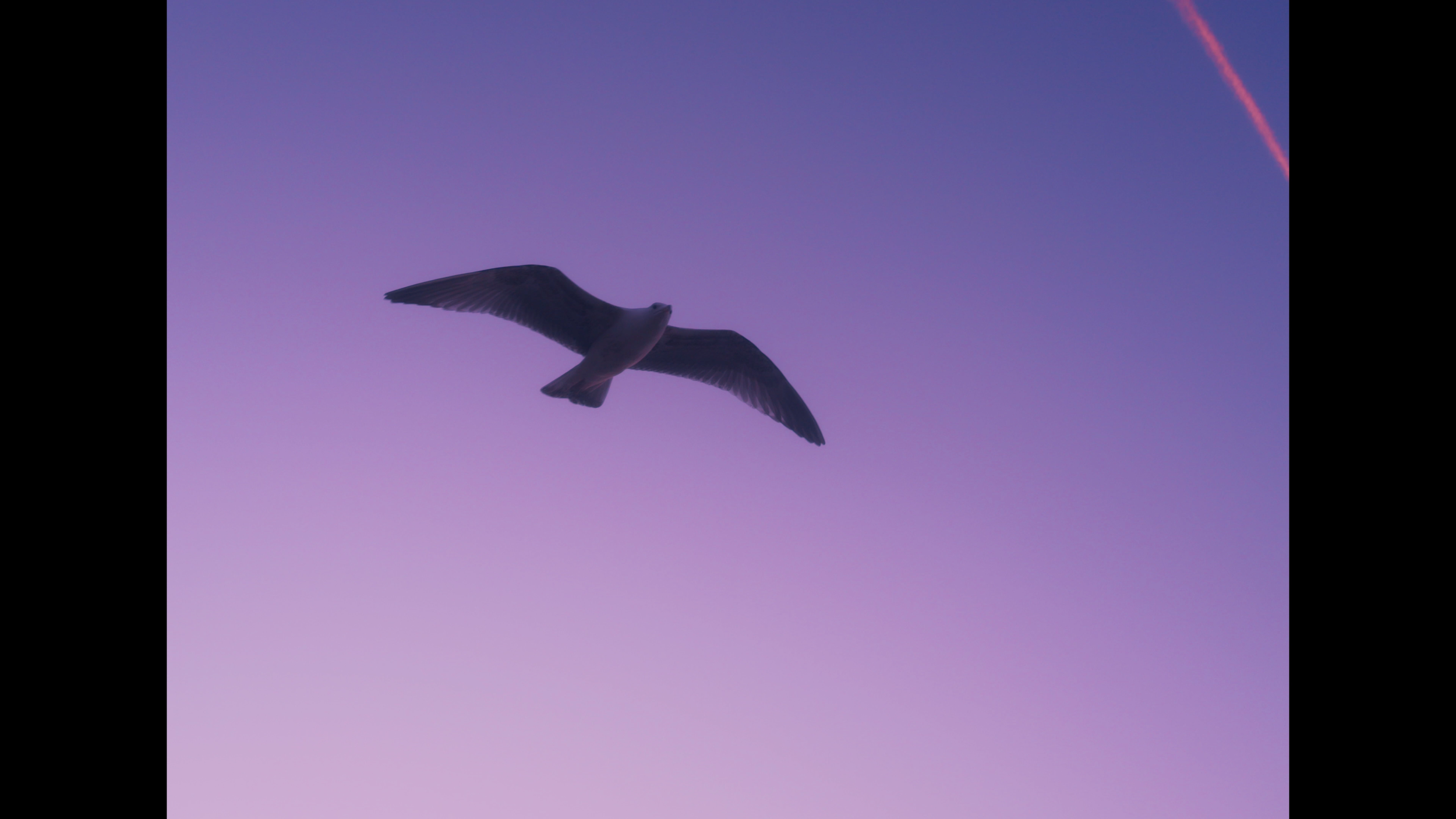 Capture d’écran 2026-04-24 à 20.22.55.png