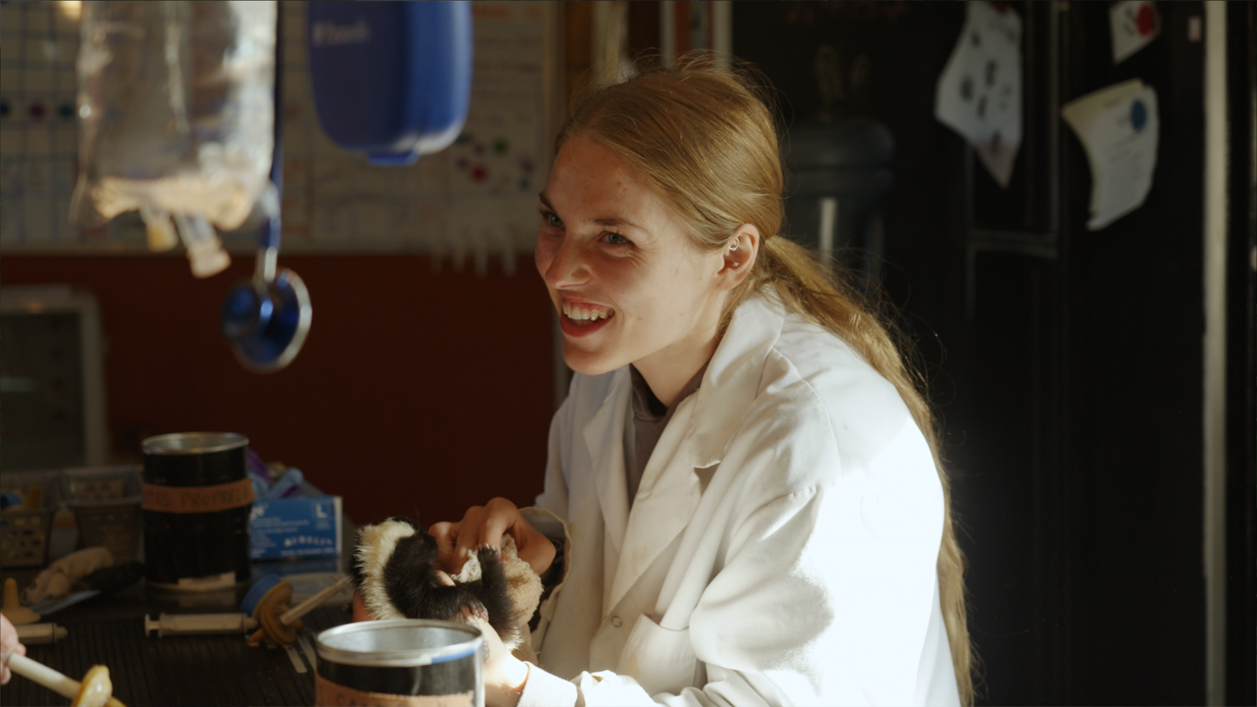 Capture d’écran 2025-01-24 à 19.12.42.png