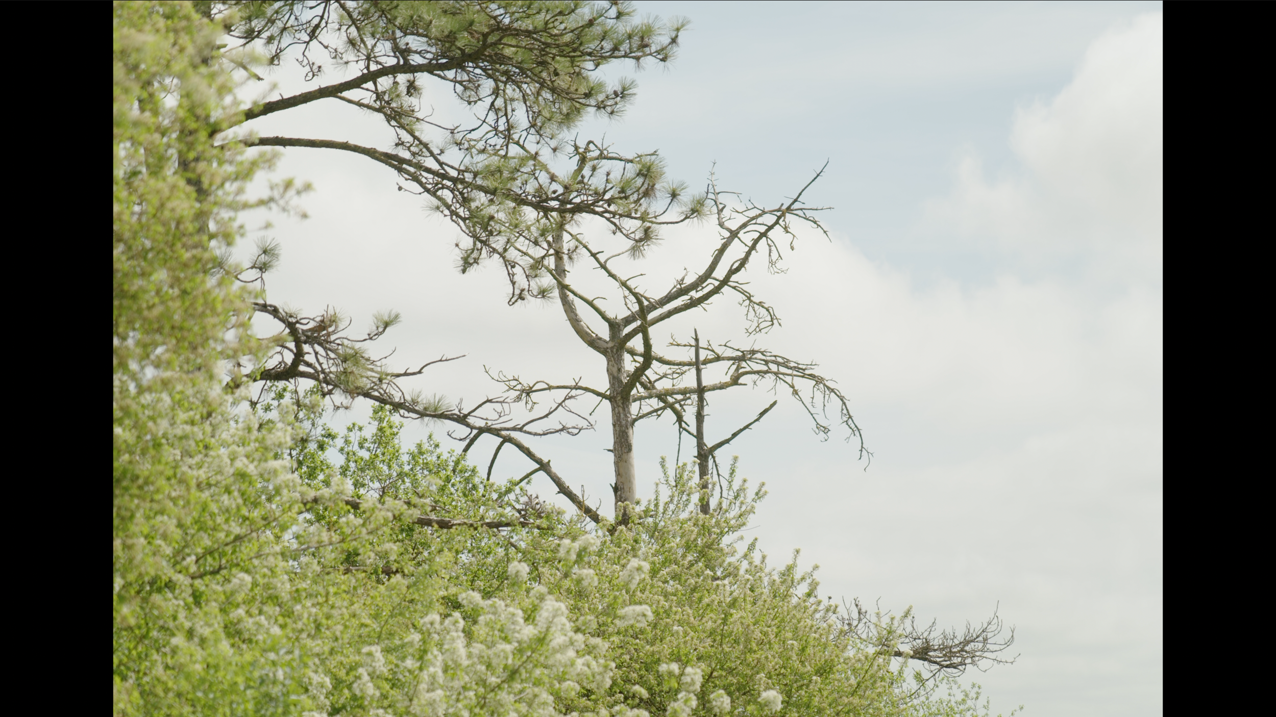 Capture d’écran 2026-04-17 à 17.11.19.png