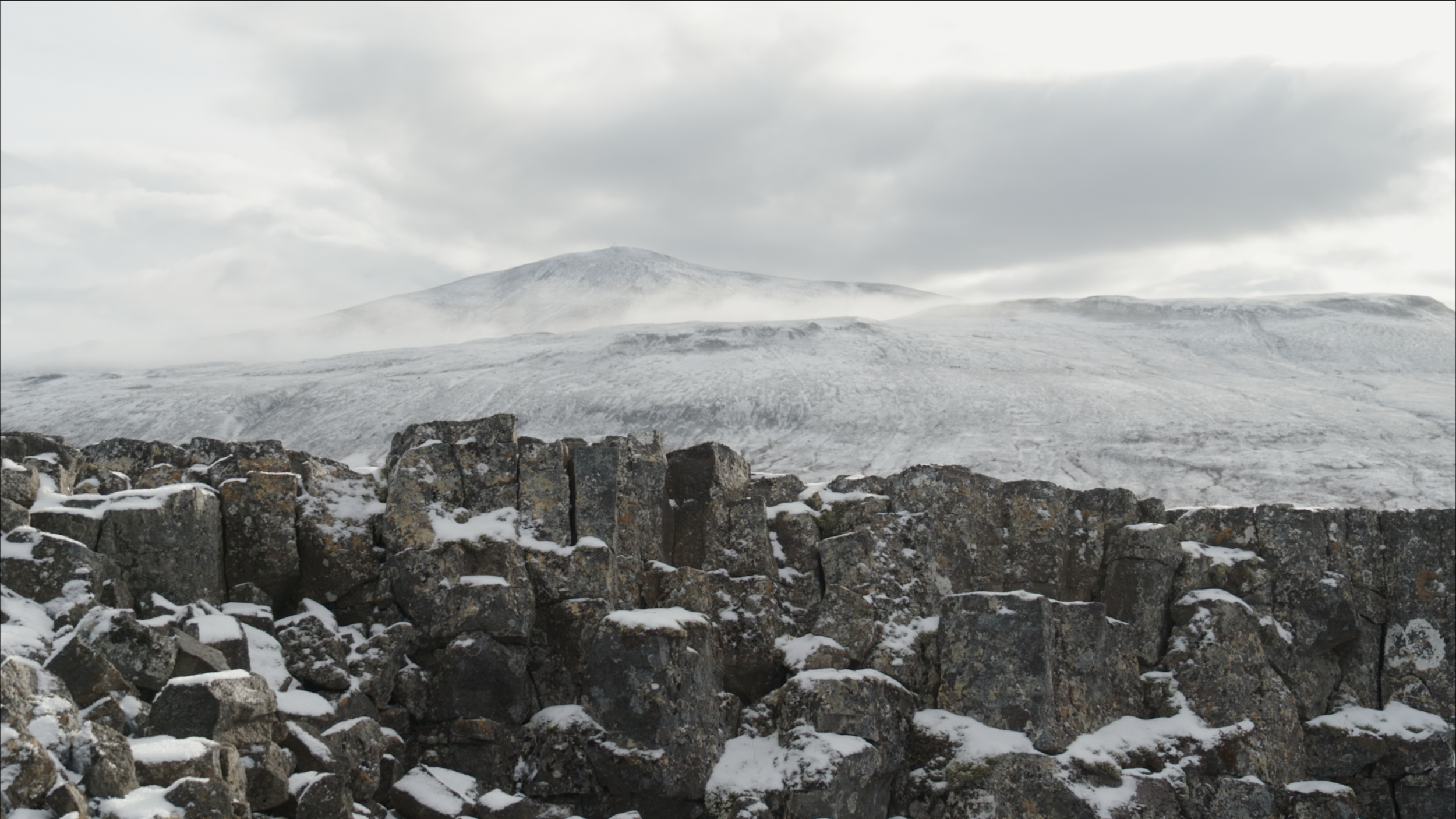 Capture d’écran 2025-03-04 à 11.37.20.png