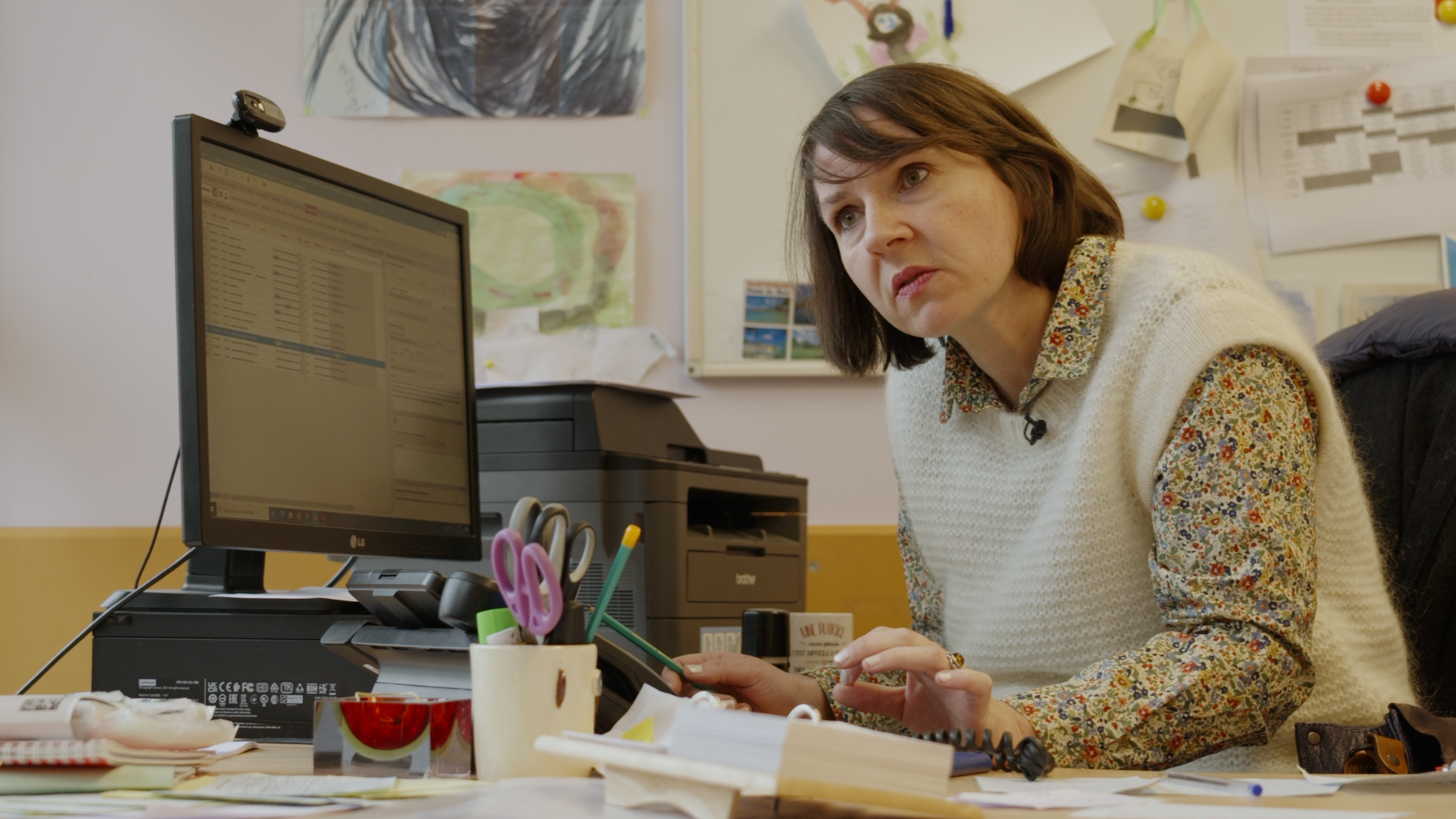 Conseillère principale d'éducation (en cours)