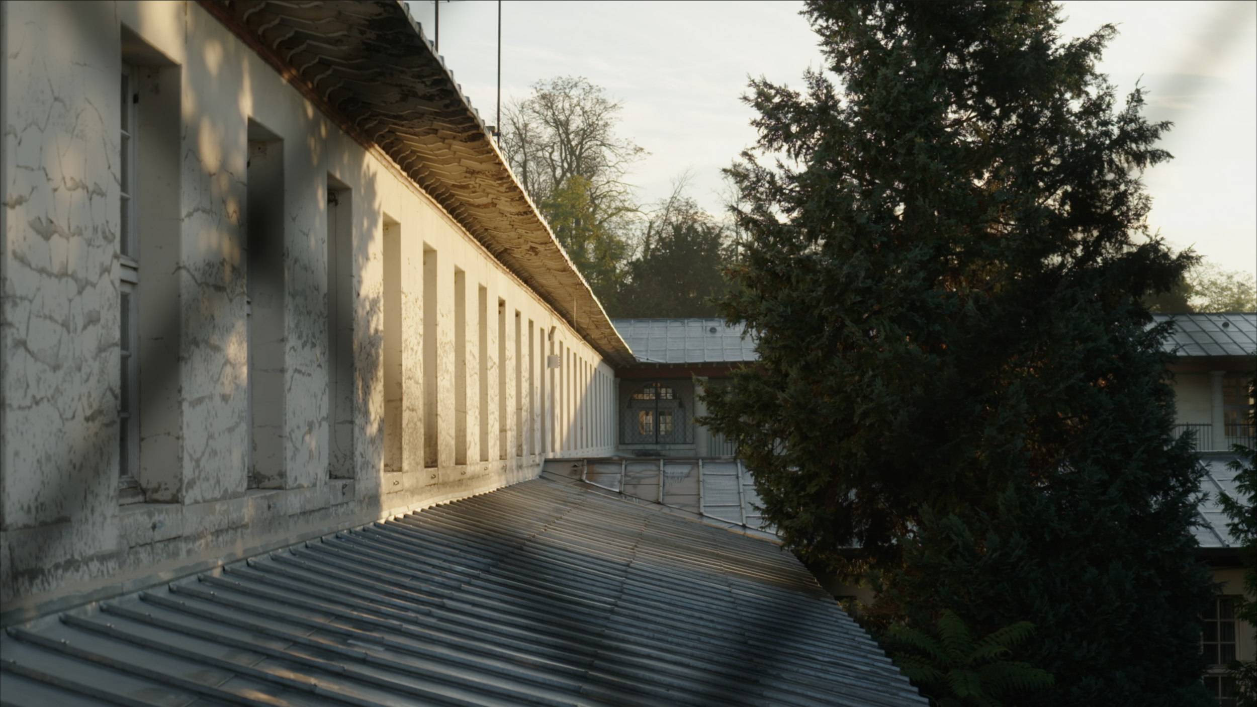 Capture d’écran 2025-01-24 à 12.56.26.png