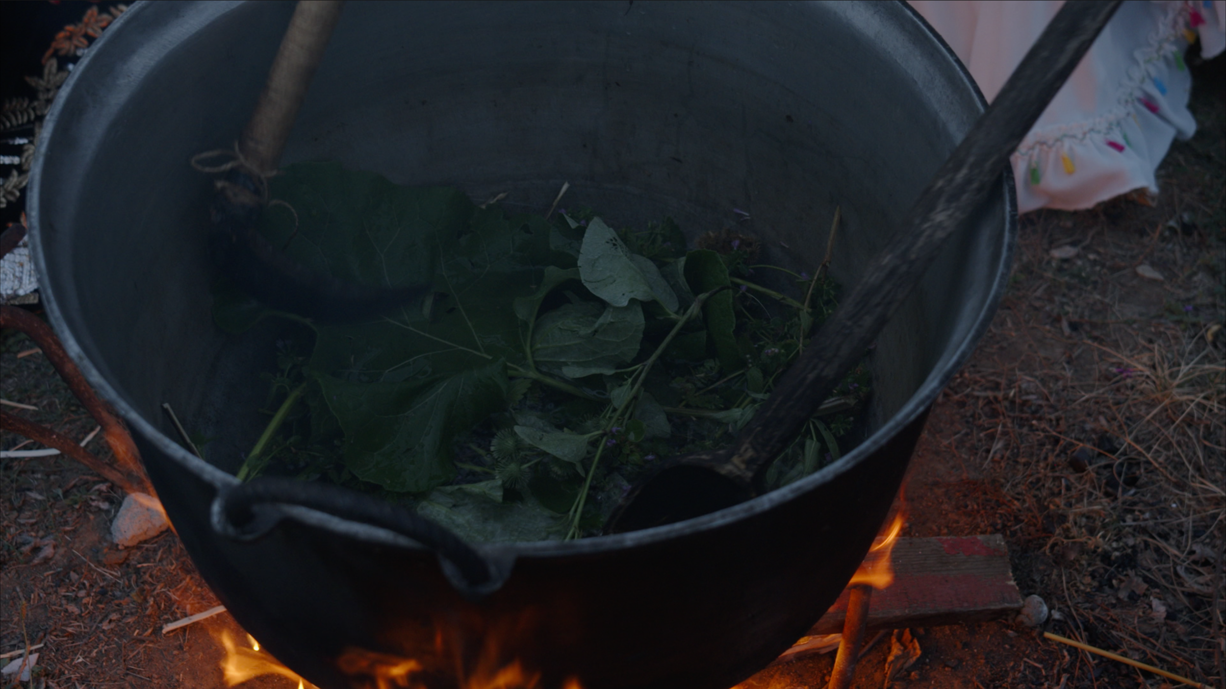 Capture d’écran 2025-01-24 à 14.40.48.png