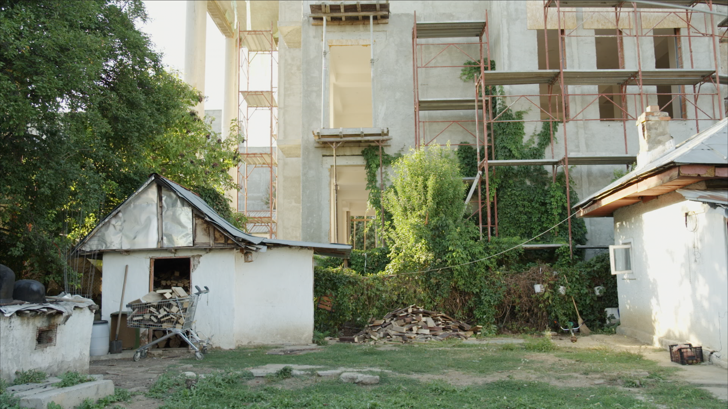 Capture d’écran 2025-01-24 à 14.37.16.png