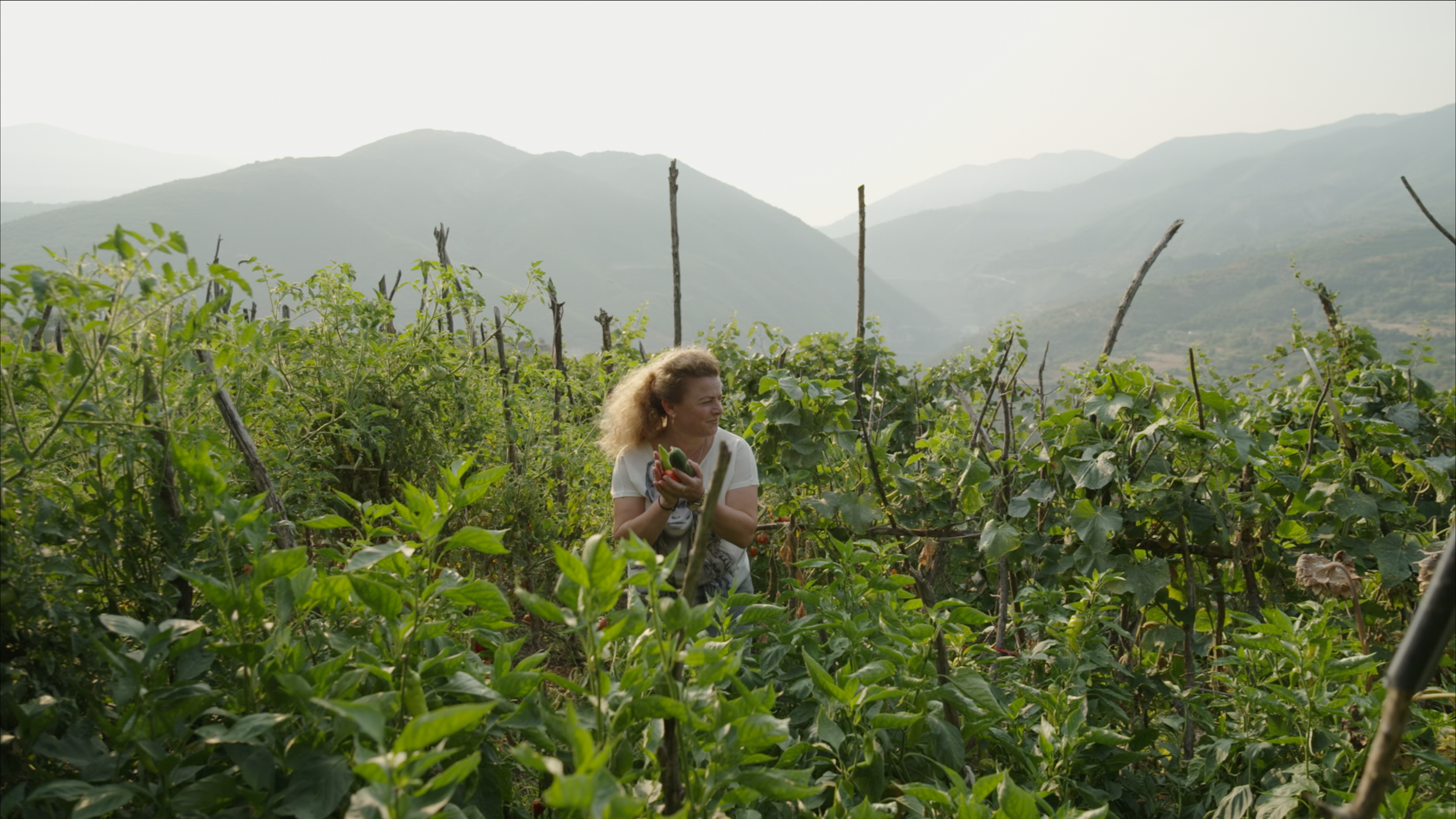 Capture d’écran 2025-01-24 à 12.35.52.png