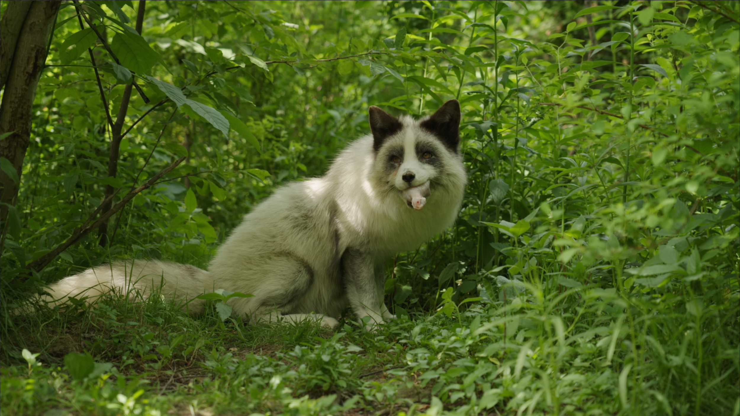 Capture d’écran 2025-01-24 à 19.10.44.png