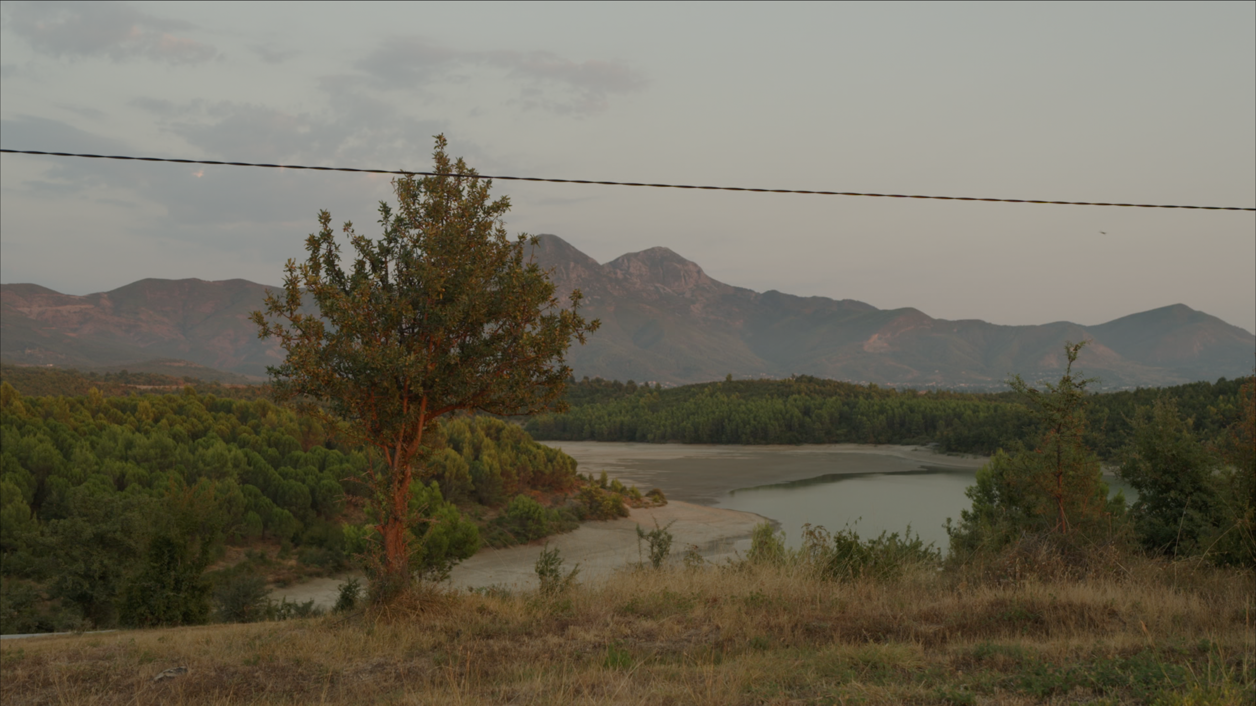 Capture d’écran 2025-01-24 à 12.39.07.png