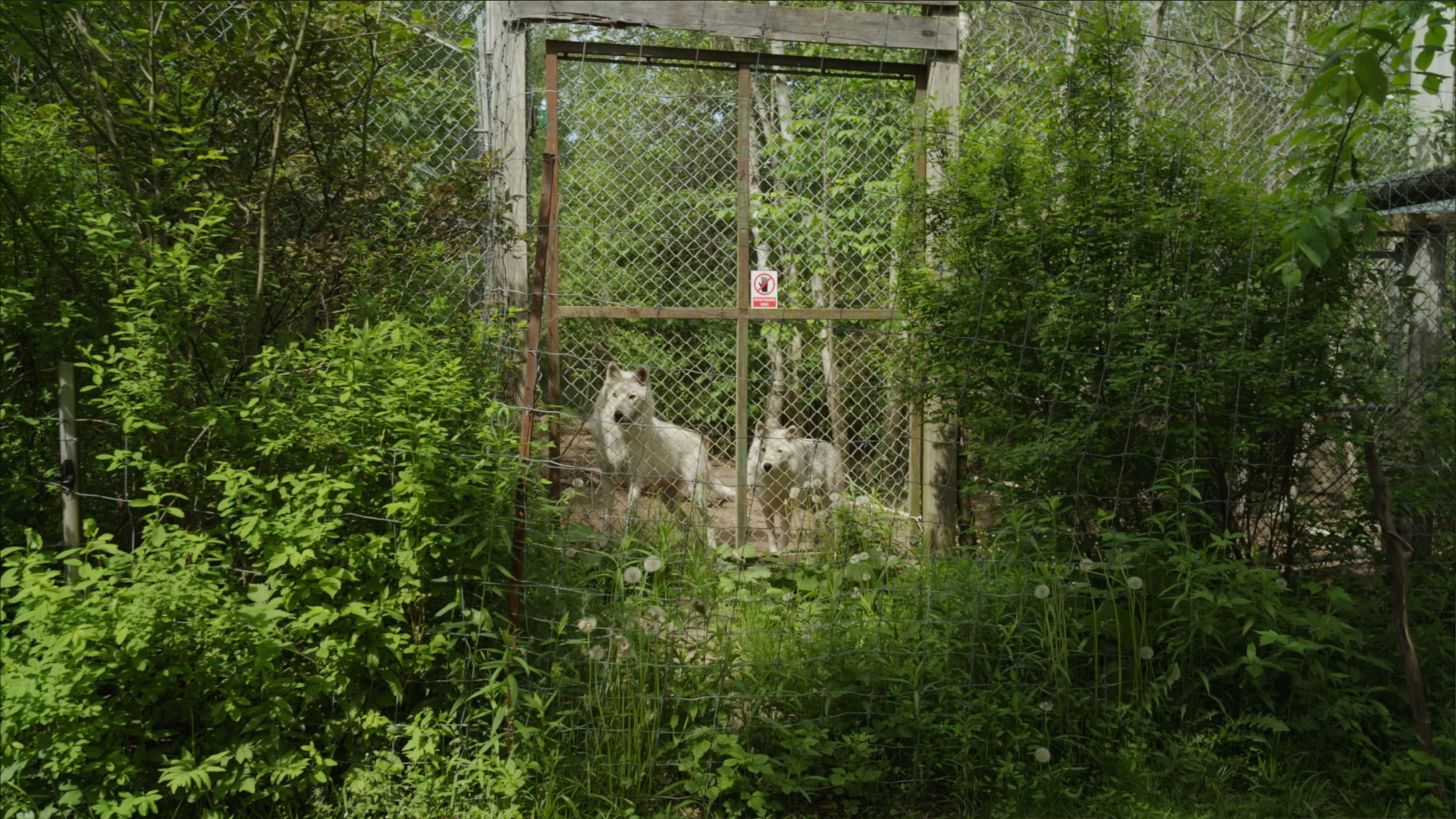 Capture d’écran 2025-01-24 à 19.10.19.png