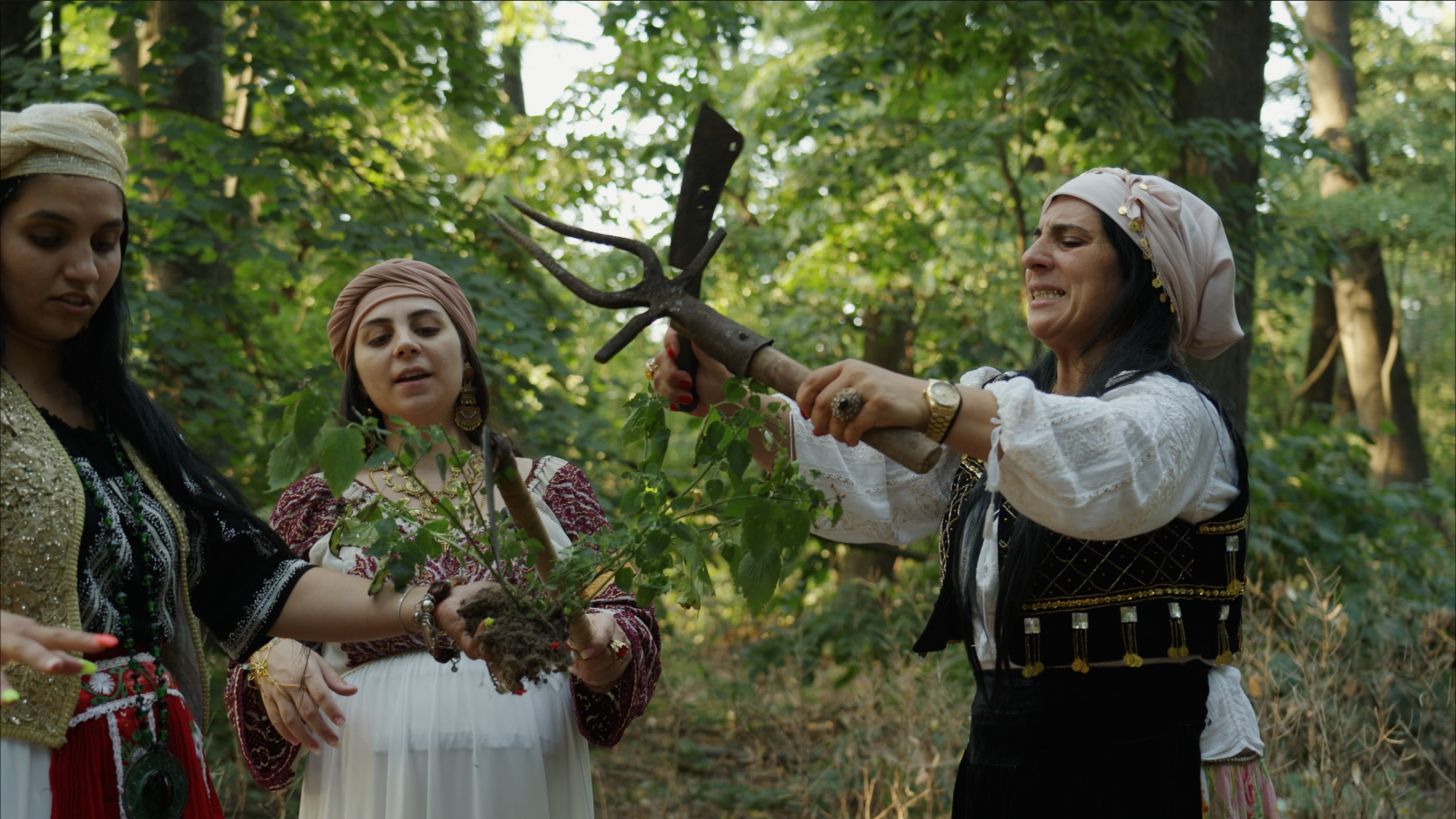 Capture d’écran 2025-01-24 à 14.29.14.png