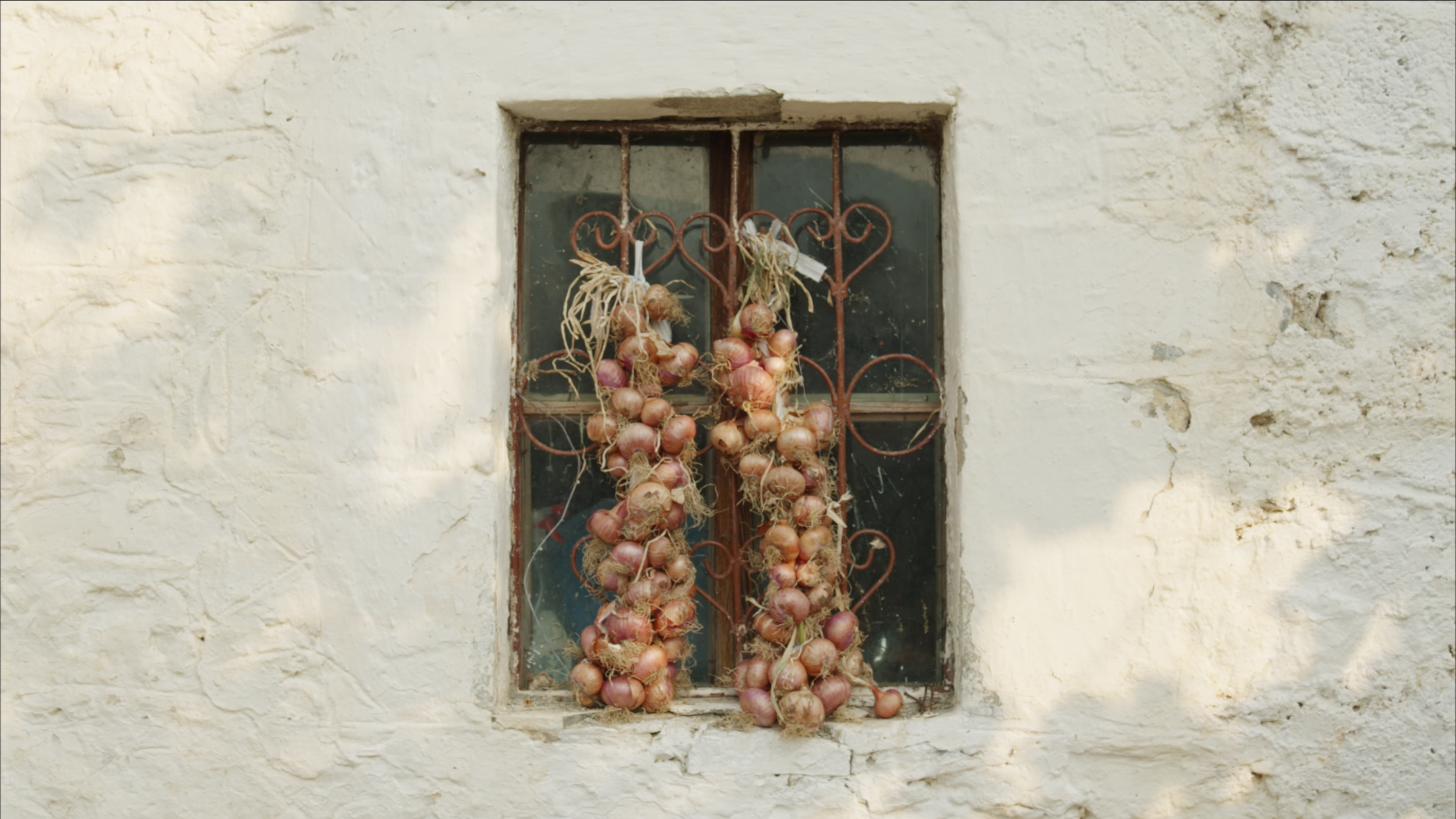 Capture d’écran 2025-01-24 à 12.49.24.png