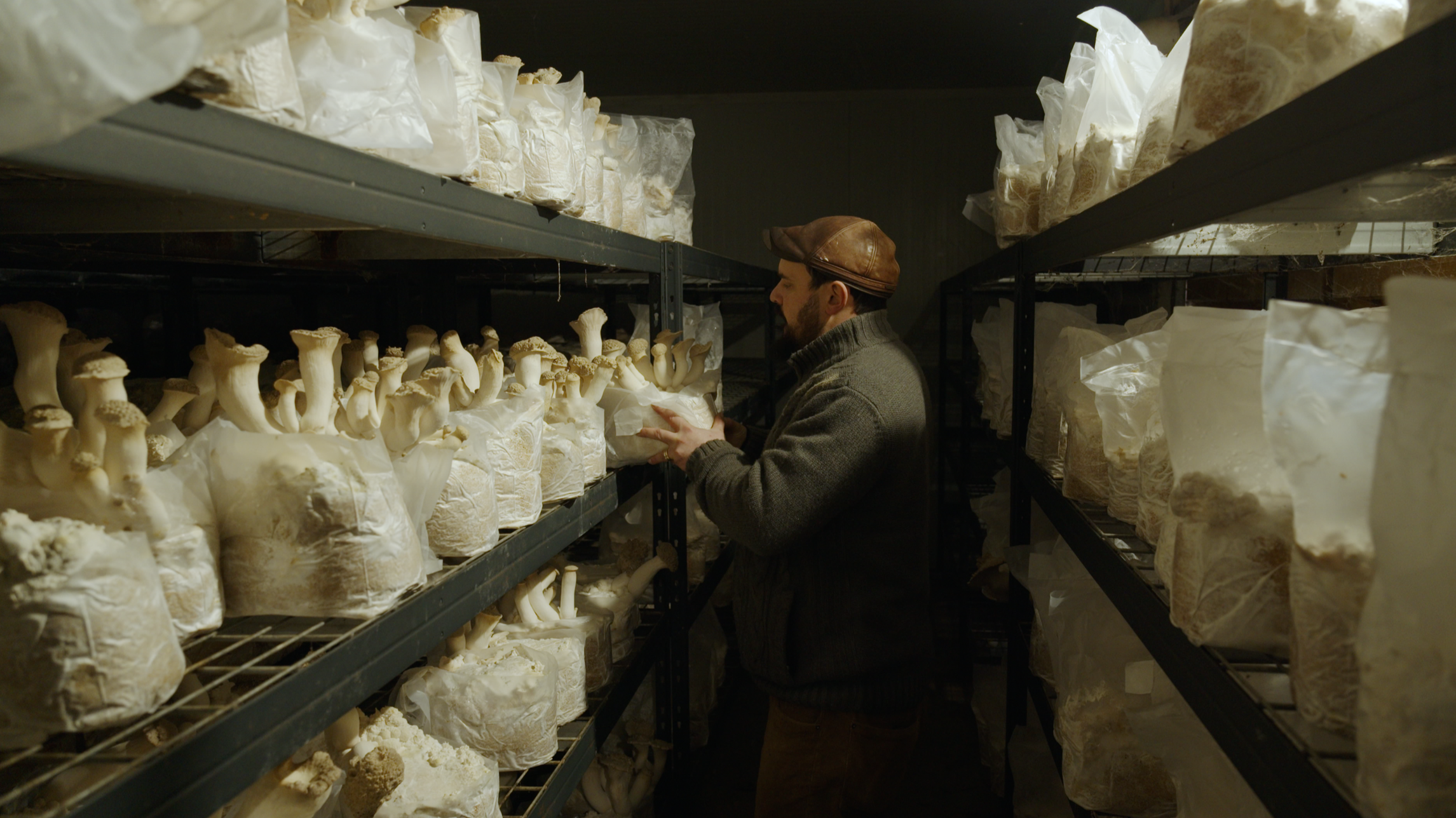 Ils sont beaux, bons, et ils font du bien