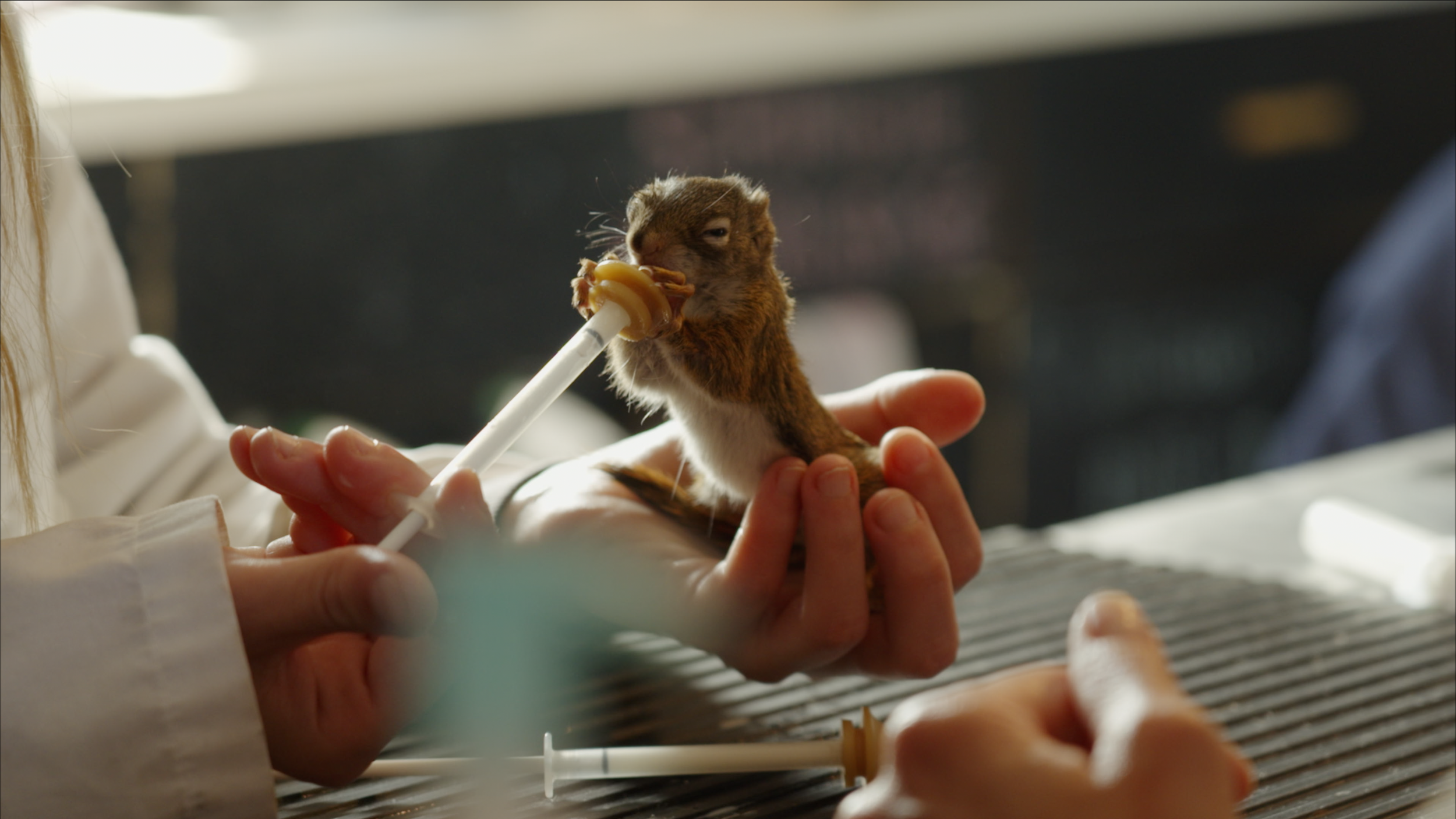 Capture d’écran 2025-01-24 à 19.00.30.png