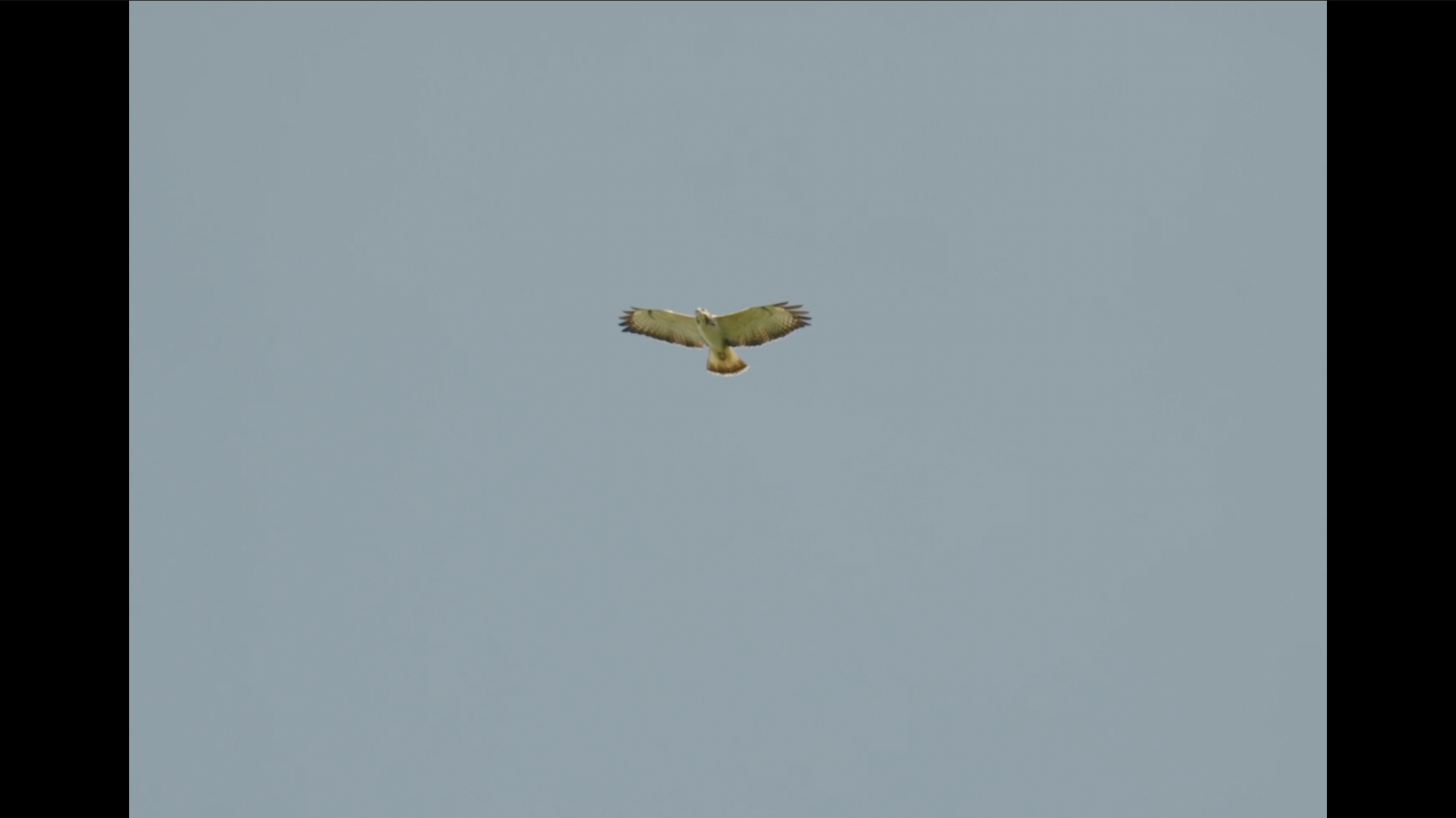 Capture d’écran 2026-04-17 à 17.07.08.png