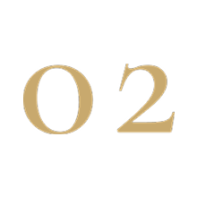 Number 02 in gold text on a black background