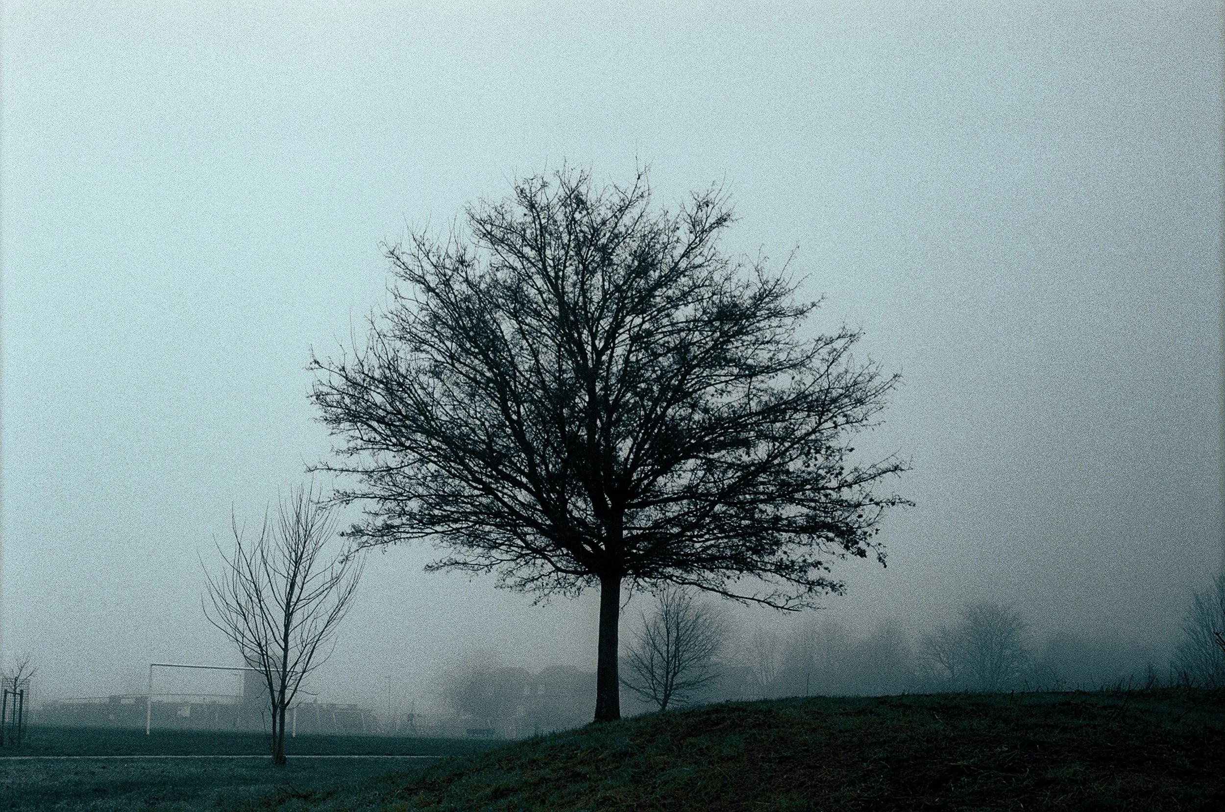 0020_16.jpg