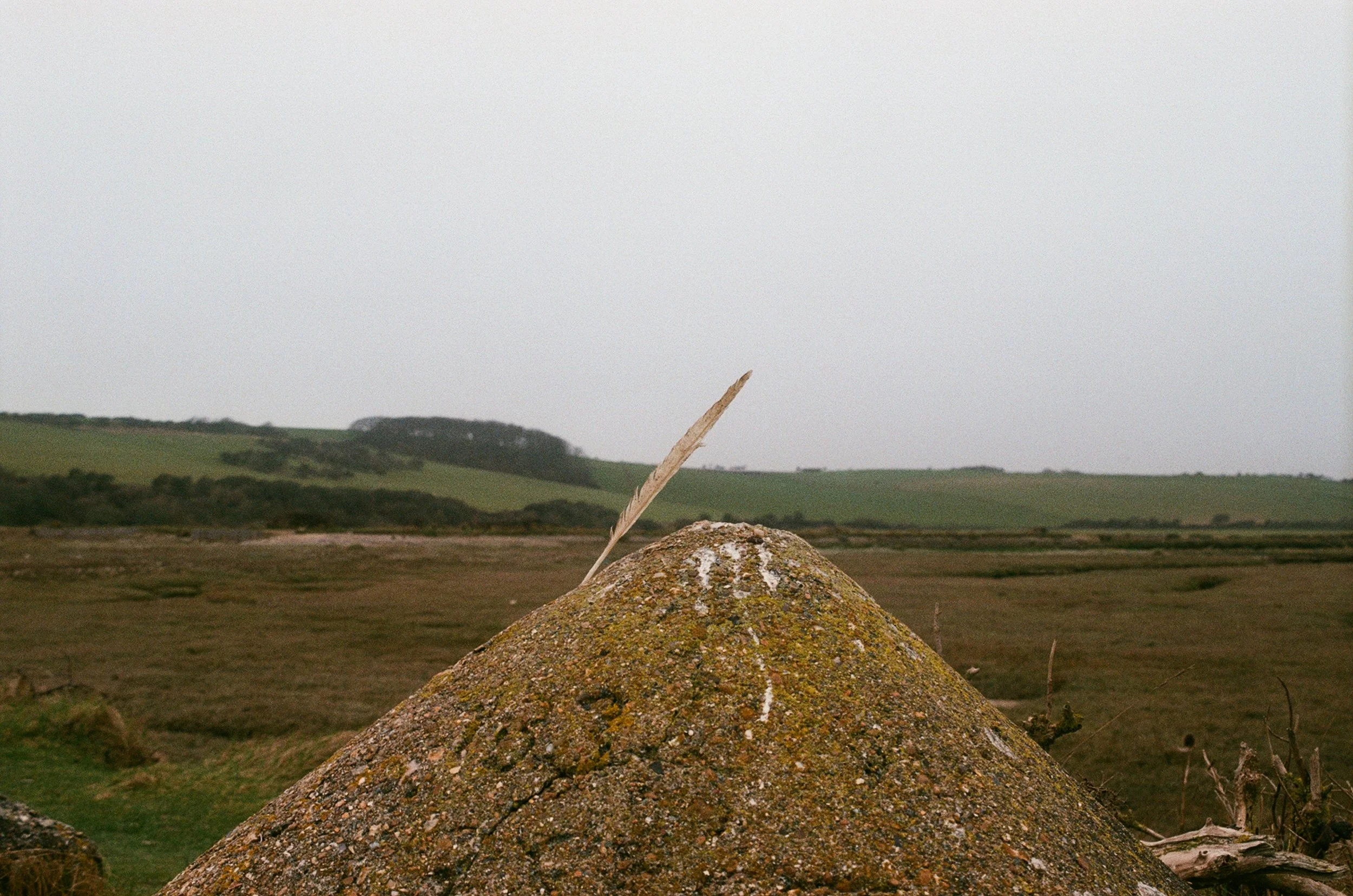0016_14.jpg
