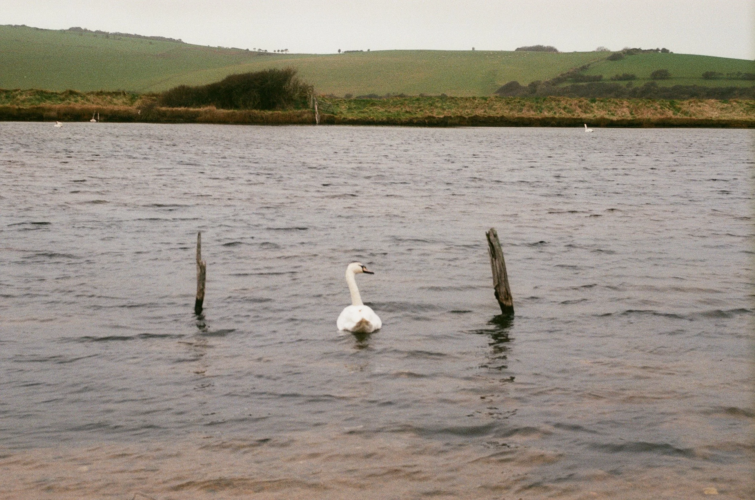 0010_20.jpg
