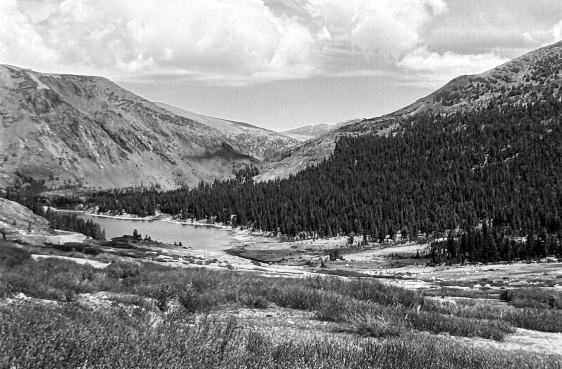 Untitled-41b.png