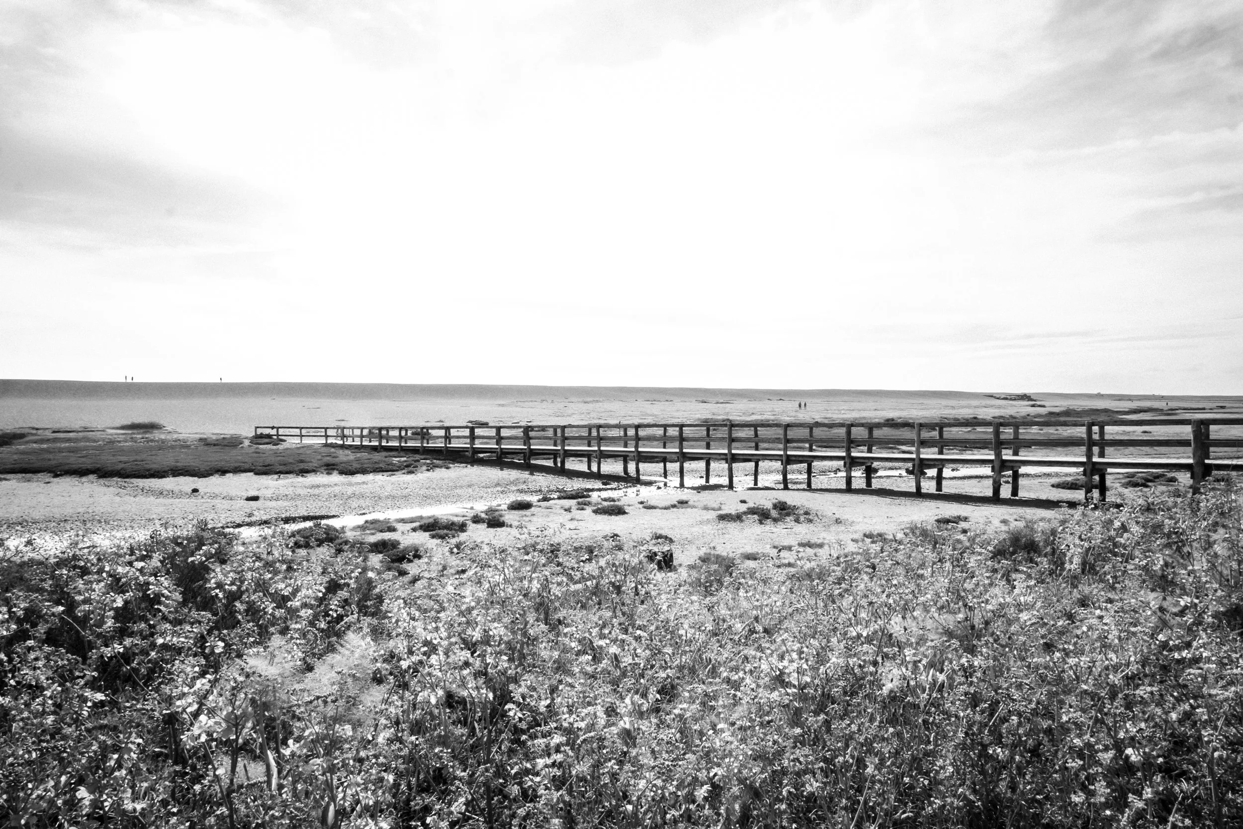 DSCF4374.jpg