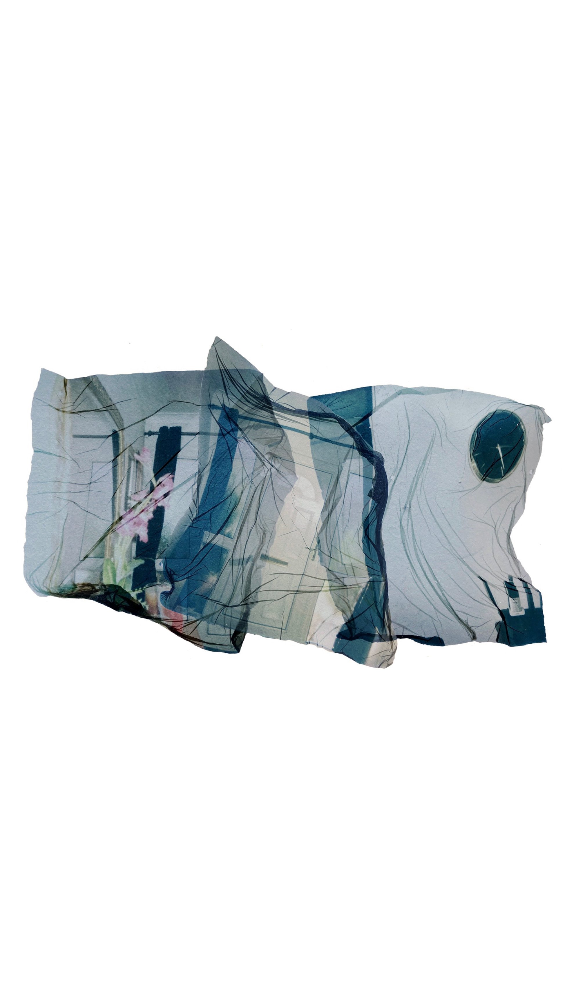 POLAROID EMULSION